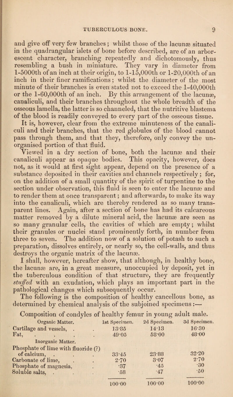 and give olf very few branches; whilst those of the lacunse situated in the quadrangular islets of bone before described, are of an arbor¬ escent character, branching repeatedly and dichotomously, thus resembling a bush in miniature. They vary in diameter from l-5000th of an inch at their origin, to l-15,000th or 1-20,000th of an inch in their finer ramifications; whilst the diameter of the most minute of their branches is even stated not to exceed the l-40,000th or the l-60,000th of an inch. By this arrangement of the lacunae, canaliculi, and their branches throughout the whole breadth of the osseous lamella, the latter is so channeled, that the nutritive blastema of the blood is readily conveyed to every part of the osseous tissue. I It is, however, clear from the extreme minuteness of the canali¬ culi and their branches, that the red globules of the blood cannot pass through them, and that they, therefore, only convey the un¬ organised portion of that fluid. Viewed in a dry section of bone, both the lacunm and their canaliculi appear as opaque bodies. This opacity, however, does not, as it would at first sight appear, depend on the presence of a substance deposited in their cavities and channels respectively ; for, on the addition of a small quantity of the spirit of turpentine to the section under observation, this fluid is seen to enter the lacunse and to render them at once transparent; and afterwards, to make its way into the canaliculi, which are thereby rendered as so many trans¬ parent lines. Again, after a section of bone has had its calcareous matter removed by a dilute mineral acid, the lacunae are seen as so many granular cells, the cavities of which are empty; whilst their granules or nuclei stand prominently forth, in number from three to seven. The addition now of a solution of potash to such a preparation, dissolves entirely, or nearly so, the cell-walls, and thus destroys the organic matrix of the lacunae. I shall, however, hereafter show, that although, in healthy bone, the lacunae are, in a great measure, unoccupied by deposit, yet in the tuberculous condition of that structure, they are frequently stuffed with an exudation, which plays an important part in the pathological changes which subsequently occur. The following is the composition of healthy cancellous bone, as determined by chemical analysis of the subjoined specimens :— Composition of condyles of healthy femur in young adult male. Organic Matter. Ist Specimen. 2d Specimen. 3d Specimen. Cartilage and vessels, . 13-85 14-13 16-30 Fat, 49-05 68-00 48-00 Inorganic Matter. Phosphate of lime with fluoride (?) of calcium, 88-45 23-88 32-20 Carbonate of lime, 2-70 8-07 2-70 Phosphate of magnesia, -87 -45 -30 Soluble salts, . -58 -47 *50 100-00 100-00 100-00