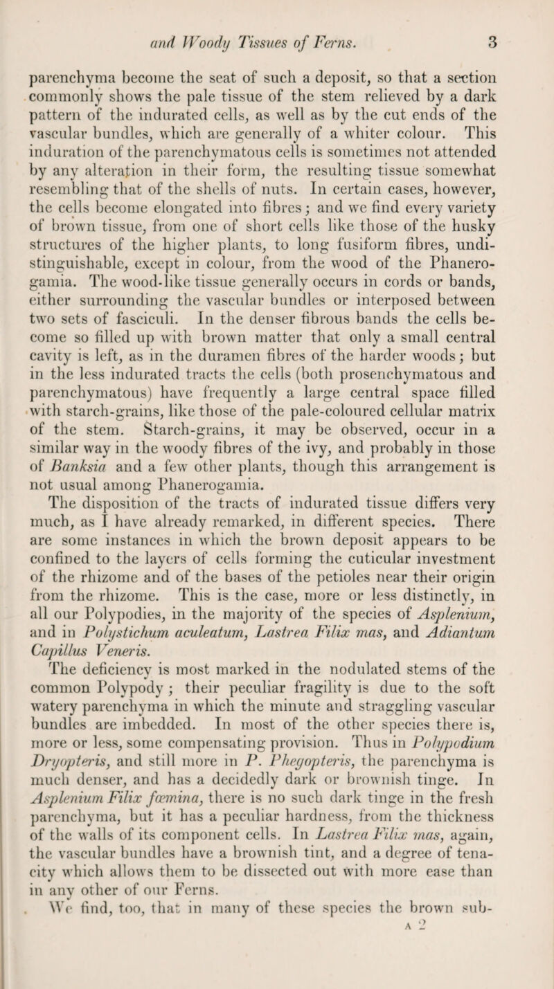 parenchyma become the seat of such a deposit, so that a section .commonly shows the j)ale tissue of the stem relieved by a dark pattern of the indurated cells, as well as by the cut ends of the vascular bundles, which are g^enerally of a whiter colour. This induration of the parenchymatous cells is sometimes not attended by any alteration in their form, the resulting tissue somewhat resembling that of the shells of nuts. In certain cases, however, the cells become elongated into fibres; and we find every variety of brown tissue, from one of short cells like those of the husky structures of the higher plants, to long fusiform fibres, undi- stinguishable, except in colour, from the wood of the Phanero- gamia. The wood*like tissue generally occurs in cords or bands, either surrounding the vascular bundles or interposed between two sets of fasciculi. In the denser fibrous bands the cells be¬ come so filled up with brown matter that only a small central cavity is left, as in the duramen fibres of the harder woods; but in the less indurated tracts the cells (both prosenchymatous and parenchymatous) have frequently a large central space filled •with starch-grains, like those of the pale-coloured cellular matrix of the stem. Starch-grains, it may be observed, occur in a similar way in the woody fibres of the ivy, and probably in those of Banksia and a few other plants, though this arrangement is not usual among Phanerogamia. The disposition of the tracts of indurated tissue differs very much, as I have already remarked, in different species. There are some instances in which the brown deposit appears to be confined to the layers of cells forming the cuticular investment of the rhizome and of the bases of the petioles near their origin from the rhizome. This is the case, more or less distinctly, in all our Polypodies, in the majority of the species of Aspleniumy and in Polystickum aculeatum, Lastrea Filix maSy and Adiantum Capillus Veneris. The deficiency is most marked in the nodulated stems of the common Polypody ; their peculiar fragility is due to the soft watery parenchyma in which the minute and straggling vascular bundles are imbedded. In most of the other species there is, more or less, some compensating provision. Thus in Poly podium Dryoptei'iSy and still more in P. Phegopteris, the parenchyma is much denser, and has a decidedly dark or brownish tinge. In Asplenium Filix foeminay there is no such dark tinge in the fresh parenchyma, but it has a peculiar hardness, from the thickness of the walls of its component cells. In Lastrea Filix mas, again, the vascular bundles have a brownish tint, and a degree of tena¬ city which allows them to be dissected out with more ease than in any other of our Ferns. We find, too, that in many of these species the brown sub- A 2