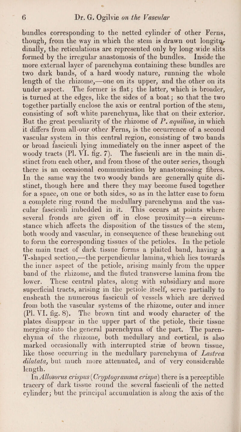 bundles corresponding to the netted cylinder of other Ferns, though, from the way in which the stem is drawn out longiti^- dinally, the reticulations are represented only by long wide slits formed by the irregular anastomosis of the bundles. Inside the more external layer of parenchyma containing these bundles are two dark bands, of a hard woody nature, running the whole length of the rhizome,—one on its upper, and the other on its under aspect. The former is flat; the latter, which is broader, is turned at the edges, like the sides of a boat; so that the two together partially enclose the axis or central portion of the stem, consisting of soft white parenchyma, like that on their exterior. But the great peculiarity of the rhizome of P. aquilina, in which it differs from all-our other Ferns, is the occurrence of a second vascular system in this central region, consisting of two bands or broad fasciculi lying immediately on the inner aspect of the woody tracts (PI. VI. fig. 7). The fasciculi are in the main di¬ stinct from each other, and from those of the outer series, though there is an occasional communication by anastomosing fibres. In the same way the two woody bands are generally quite di¬ stinct, though here and there they may become fused together for a space, on one or both sides, so as in the latter case to form a complete ring round the medullary parenchyma and the vas¬ cular fasciculi imbedded in it. This occurs at points where several fronds are given off in close proximity—a circum¬ stance which affects the disposition of the tissues of the stem, both woody and vascular, in consequence of these branching out to form the corresponding tissues of the petioles. In the petiole the main tract of dark tissue forms a plaited band, having a T-shaped section,'—the perpendicular lamina, which lies towards the inner aspect of the petiole, arising mainly from the upper band of the rhizome, and the fluted transverse lamina from the lower. These central plates, along with subsidiary and more superficial tracts, arising in the petiole itself, serve partially to ensheath the numerous fasciculi of vessels which are derived from both the vascular systems of the rhizome, outer and inner (PL VI. fig. 8). The brown tint and woody character of the plates disappear in the upper part of the petiole, their tissue merging .into the general parenchyma of the part. The paren¬ chyma of the rhizome, both medullary and co-rtical, is also marked occasionally with interrupted striae of brown tissue, like those occurring in the medullary parenchyma of Lastrea dilatata, but much more attenuated, and of very considerable length. Ixi Allosorus crispus[C7'yptogramma cr'ispa) there is a perceptible tracery of dark tissue round the several fasciculi of the netted cylinder; but the principal accumulation is along the axis of the