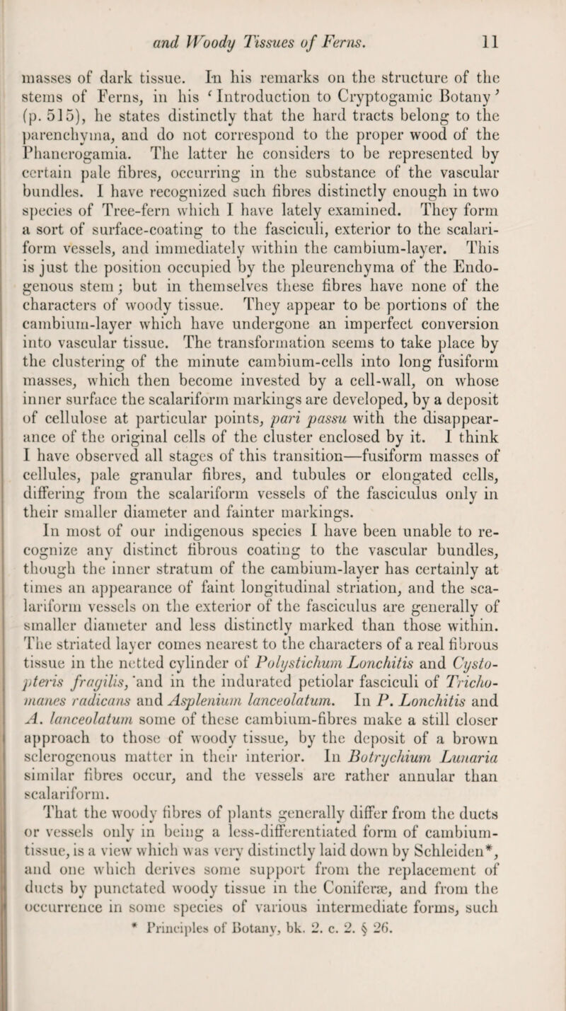 masses of dark tissue. In his remarks on the strueture of the stems of Ferns, in his ‘ Introduction to Cryptogamic Botany ^ (p. 515), he states distinctly that the hard tracts belong to the })arenehyma, and do not correspond to the proper wood of the Fhanerogamia. The latter he considers to be represented by certain pale fibres, occurring in the substance of the vascular bundles. 1 have recognized such fibres distinctly enough in two s])ecies of Tree-fern which 1 have lately examined. They form a sort of surface-coating to the fasciculi, exterior to the scalari- forrn vessels, and immediately within the cambium-layer. This is just the position occupied by the pleurenchyma of the Endo¬ genous stern; but in themselves these fibres have none of the characters of woody tissue. They appear to be portions of the cambium-layer which have undergone an imperfect conversion into vascular tissue. The transformation seems to take place by the clustering of the minute cambium-cells into long fusiform masses, which then become invested by a cell-wall, on whose inner surface the scalariforin markings are developed, by a deposit of cellulose at particular points, pari passu with the disappear¬ ance of the original cells of the cluster enclosed by it. I think I have observed all stages of this transition—fusiform masses of cellules, pale granular fibres, and tubules or elongated cells, differing from the scalariforin vessels of the fasciculus only in their smaller diameter and fainter markings. In most of our indigenous species I have been unable to re¬ cognize any distinct fibrous coating to the vascular bundles, though the inner stratum of the cambium-layer has certainly at times an appearance of faint longitudinal striation, and the sca- lariform vessels on the exterior of the fasciculus are generally of smaller diameter and less distinctly marked than those within. The striated layer comes nearest to the characters of a real fibrous tissue in the netted cylinder of Polystichum Lonchitis and Cysio- jitei'is frayilis, 'and in the indurated petiolar fasciculi of TricJio- manes radicans and Aspleniuui lanceolatum. In P. Lonchitis and A. lanceolatum some of these cambium-fibres make a still closer approach to those of woody tissue, by the deposit of a brown sclerogcnous matter in their interior. In Botrychiwn Lunaria similar fibres occur, and the vessels are rather annular than scalariforin. That the woody fibres of jilants generally differ from the ducts or vessels only in being a less-differentiated form of cambium- tissue, is a view which was very distinctly laid down by Schleideii*, and one which derives some support from the replacement of ducts by punctated woody tissue in the Conifcrie, and from the occurrence in some species of various intermediate forms, such * Principles of Botany, bk. 2. c. 2. § 2i\.