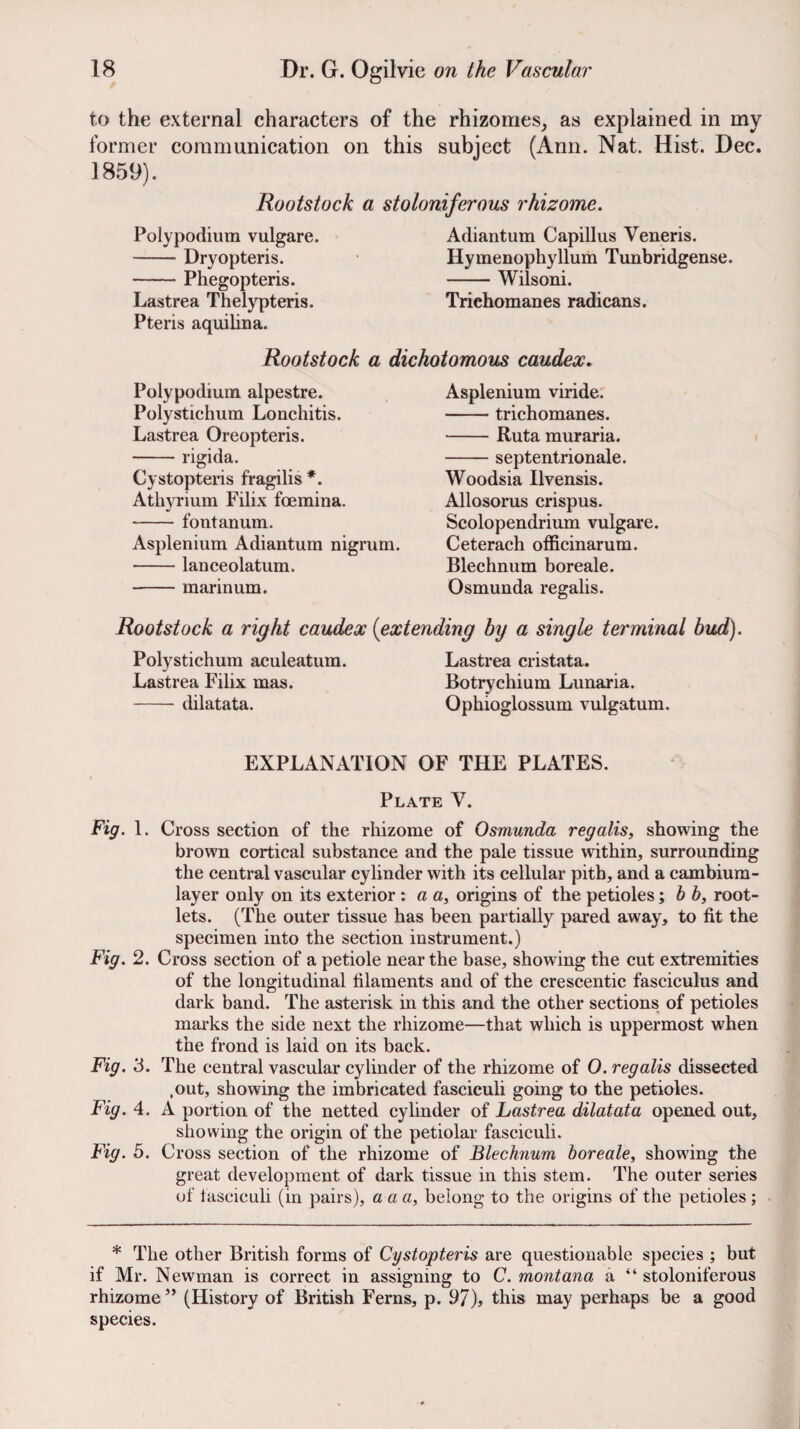 to the external characters of the rhizomes, as explained in my former communication on this subject (Ann. Nat. Hist. Dec. 1859). Rootstock a stoloniferous rhizome. Polypodium vulgare. -Dryopteris. -Phegopteris. Lastrea Thelypteris. Pteris aquilina. Adiantum Capillus Veneris. Hymenophyllum Tunbridgense. -Wiisoni. Trichomanes radicans. Rootstock a dichotomous caudex. Polypodium alpestre. Polystichum Lonchitis. Lastrea Oreopteris. -rigida. Cystopteris fragilis *. Athyrium Filix foemina. -fontanum. Asplenium Adiantum nigrum. -lanceolatum. -marinum. Asplenium viride. -trichomanes. -Ruta muraria. -septentrionale. Woodsia Ilvensis. Allosorus crispus. Scolopendrium vulgare. Ceterach officinarum. Blechnum boreale. Osmunda regalis. Rootstock a right caudex {extending by a single terminal bud). Polystichum aculeatum. Lastrea cristata. Lastrea Filix mas. Botrychium Lunaria. -dilatata. Ophioglossum vulgatum. EXPLANATION OF THE PLATES. Plate V. Fig. 1. Cross section of the rhizome of Osmunda regalis, showing the brown cortical substance and the pale tissue within, surrounding the central vascular cylinder with its cellular pith, and a cambium- layer only on its exterior: a a, origins of the petioleshb, root¬ lets. (The outer tissue has been partially pared away, to fit the specimen into the section instrument.) Fig. 2. Cross section of a petiole near the base, showing the cut extremities of the longitudinal filaments and of the crescentic fasciculus and dark band. The asterisk in this and the other sections of petioles marks the side next the rhizome—that which is uppermost when the frond is laid on its back. Fig. 3. The central vascular cylinder of the rhizome of 0. regalis dissected .out, showing the imbricated fasciculi going to the petioles. Fig. 4. A portion of the netted cylinder of Lastrea dilatata opened out, showing the origin of the petiolar fasciculi. Fig. 5. Cross section of the rhizome of Blechnum boreale, showing the great development of dark tissue in this stem. The outer series of fasciculi (in pairs), a a a, belong to the origins of the petioles ; * The other British forms of Cystopteris are questionable species ; but if Mr. Newman is correct in assigning to C. montana a “ stoloniferous rhizome’’ (History of British Ferns, p. 97), this may perhaps be a good species.