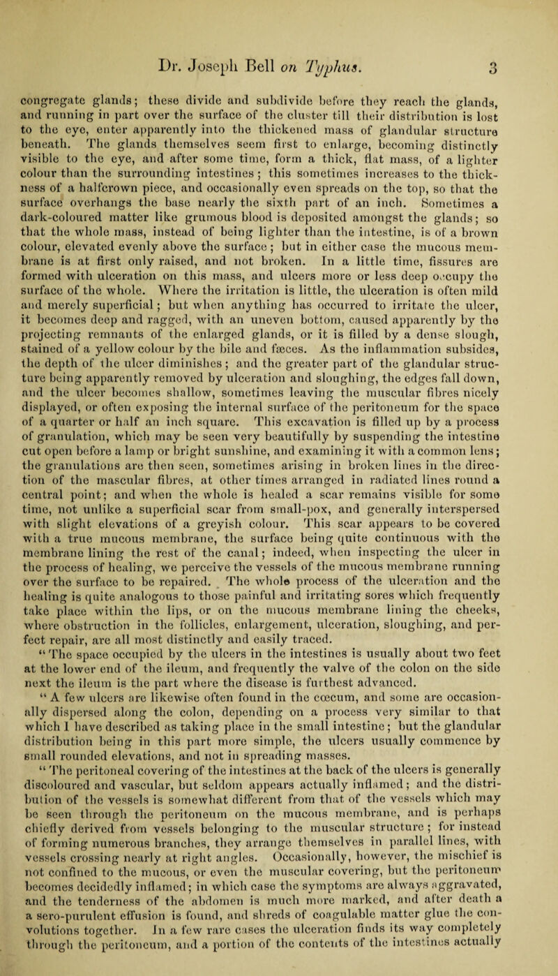 congregate glands; these divide and subdivide before they reach the glands, and running in part over the surface of the cluster till their distribution is lost to the eye, enter apparently into the thickened mass of glandular structure beneath. The glands themselves seem first to enlarge, becoming distinctly visible to the eye, and after some time, form a thick, flat mass, of a lighter colour than the surrounding intestines ; this sometimes increases to the thick¬ ness of a halfcrown piece, and occasionally even spreads on the top, so that the surface overhangs the base nearly the sixth part of an inch. Sometimes a dark-coloured matter like grumous blood is deposited amongst the glands; so that the whole mass, instead of being lighter than the intestine, is of a brown colour, elevated evenly above the surface ; but in either case the mucous mem¬ brane is at first only raised, and not broken. In a little time, fissures are formed with ulceration on this mass, and ulcers more or less deep occupy the surface of the whole. Where the irritation is little, the ulceration is often mild and merely superficial; but when anything has occurred to irritate the ulcer, it becomes deep and ragged, with an uneven bottom, caused apparently by the projecting remnants of the enlarged glands, or it is filled by a dense slough, stained of a yellow colour by the bile and faeces. As the inflammation subsides, the depth of the ulcer diminishes ; and the greater part of the glandular struc¬ ture being apparently removed by ulceration and sloughing, the edges fall down, and the ulcer becomes shallow, sometimes leaving the muscular fibres nicely displayed, or often exposing the internal surface of the peritoneum for the space of a quarter or half an inch square. This excavation is filled up by a process of granulation, which may be seen very beautifully by suspending the intestine cut open before a lamp or bright sunshine, and examining it with a common lens; the granulations are then seen, sometimes arising in broken lines in the direc¬ tion of the mascular fibres, at other times arranged in radiated lines round a central point; and when the whole is healed a scar remains visible for somo time, not unlike a superficial scar from small-pox, and generally interspersed with slight elevations of a greyish colour. This scar appears to be covered with a true mucous membrane, the surface being quite continuous with the membrane lining the rest of the canal; indeed, when inspecting the ulcer in the process of healing, we perceive the vessels of the mucous membrane running over the surfaco to be repaired. The whole process of the ulceration and tho healing is quite analogous to those painful and irritating sores which frequently take place within the lips, or on the mucous membrane lining the cheeks, where obstruction in the follieles, enlargement, ulceration, sloughing, and per¬ fect repair, are all most distinctly and easily traced. “ The space occupied by tho ulcers in the intestines is usually about two feet at the lower end of the ileum, and frequently the valve of the colon on the side next the ileum is the part where the disease is furthest advanced. “ A few ulcers are likewise often found in the coecum, and some are occasion¬ ally dispersed along the colon, depending on a process very similar to that which I have described as taking place in the small intestine; but the glandular distribution being in this part more simple, tho ulcers usually commence by small rounded elevations, and not in spreading masses. “ The peritoneal covering of the intestines at the back of the ulcers is generally discoloured and vascular, but seldom appears actually inflamed; and tho distri¬ bution of the vessels is somewhat different from that of the vessels which may be seen through the peritoneum on tho mucous membrane, and is perhaps chiefly derived from vessels belonging to the muscular structure ; for instead of forming numerous branches, they arrange themselves in parallel lines, with vessels crossing nearly at right angles. Occasionally, however, the mischief is not confined to the mucous, or even the muscular covering, but the peritoneum becomes decidedly inflamed; in which case the symptoms are always aggravated, and the tenderness of the abdomen is much more marked, and after death a a sero-purulont effusion is found, and shreds of coagulable matter glue the con¬ volutions together. In a few rare cases tho ulceration finds its way completely through the peritoneum, and a portion of the contents of the intestines actually