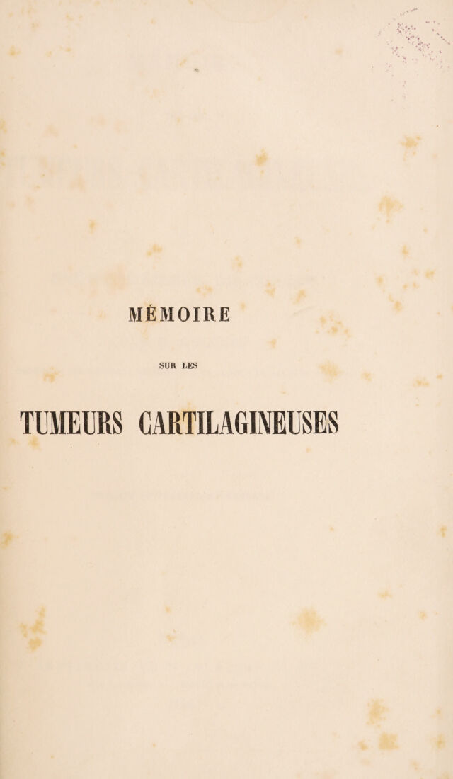 digitised image 3