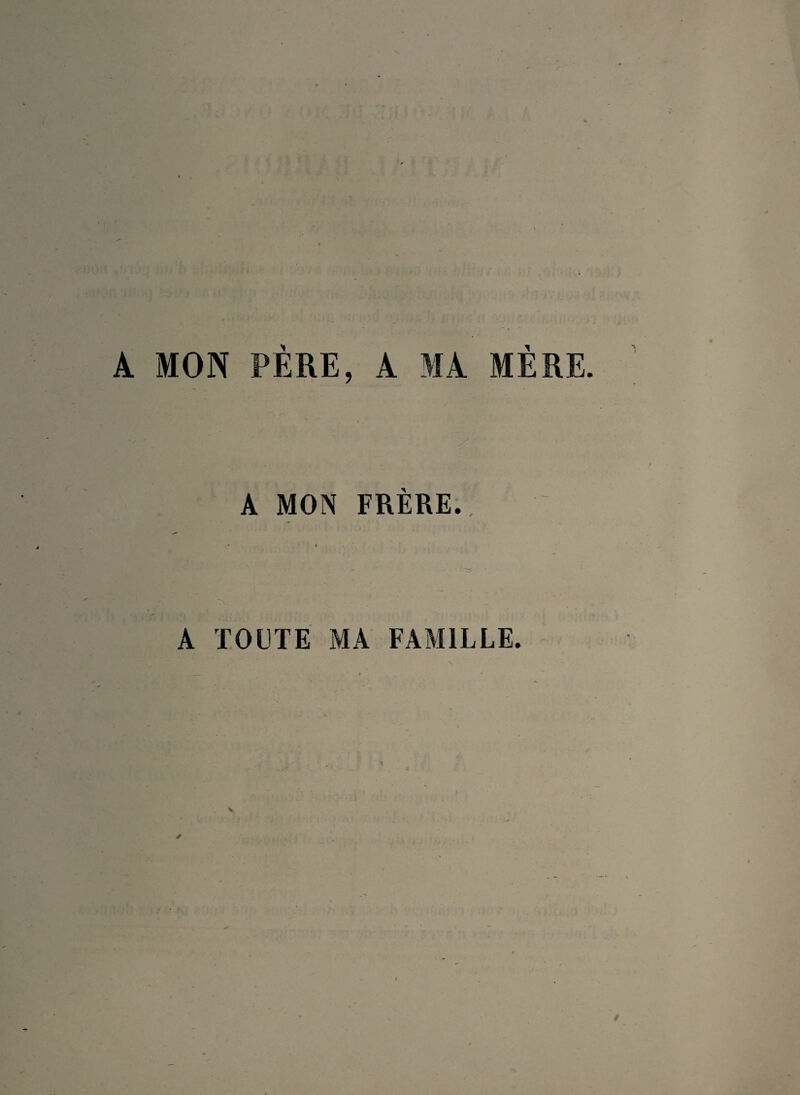 A MON PÈRE, A MA MÈRE. A MON FRÈRE. A TOUTE MA FAMILLE.