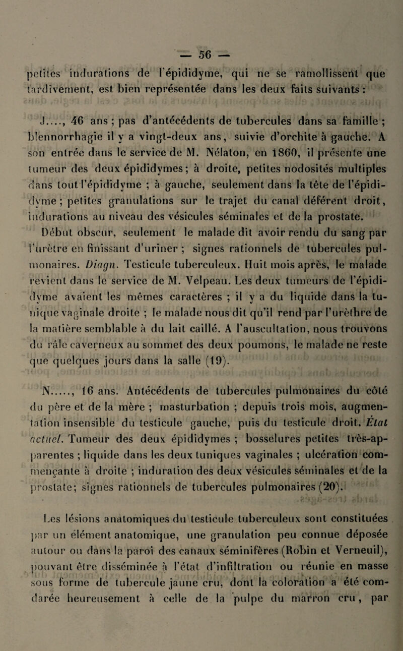 petiles indurations de l’épididyme, qui ne se ramollissent que tardivement, est bien représentée dans les deux faits suivants : i , ' • •• * . é . a » f. 'ï> -i • i 1 ‘ ' ci V f y / v, 2 l  46 ans ; pas d’antécédents de tubercules dans sa famille ; blennorrhagie il y a vingt-deux ans, suivie d’orchite à gauche. A son entrée dans le service de M. Nélaton, en i860, il présente une tumeur des deux épididymes ; à droite, petites nodosités multiples dans tout l’épididyme ; à gauche, seulement dans la tête de l’épidi- dyme ; petites granulations sur le trajet du canal déférent droit, indurations au niveau des vésicules séminales et de la prostate. Début obscur, seulement le malade dit avoir rendu du sang par l’urètre eti finissant d’uriner; signes rationnels de tubercules pul¬ monaires. Diagn. Testicule tuberculeux. Huit mois après, le malade revient dans le service de M. Velpeau. Les deux tumeurs de l’épidi- dyme avaient les mêmes caractères ; il y a du liquide dans la tu¬ nique vaginale droite ; le malade nous dit qu’il rend par l’urèthre de la matière semblable à du lait caillé. A l’auscultation, nous trouvons du râle caverneux au sommet des deux poumons, le malade ne reste que quelques jours dans la salle (19). N., 16 ans. Antécédents de tubercules pulmonaires du côté du père et de la mère ; masturbation ; depuis trois mois, augmen¬ tation insensible du testicule gauche, puis du testicule droit. État actuel. Tumeur des deux épididymes ; bosselures petites très-ap¬ parentes ; liquide dans les deux tuniques vaginales ; ulcération com¬ mençante à droite ; induration des deux vésicules séminales et de la prostate; signes rationnels de tubercules pulmonaires (20). Les lésions anatomiques du testicule tuberculeux sont constituées par un élément anatomique, une granulation peu connue déposée autour ou dans la paroi des canaux séminifères (Robin et Verneuil), pouvant être disséminée à l’état d’infiltration ou réunie en masse • ■ ■ t sous forme de tubercule jaune cru, dont la coloration a été com- darée heureusement à celle de la pulpe du marron cru, par