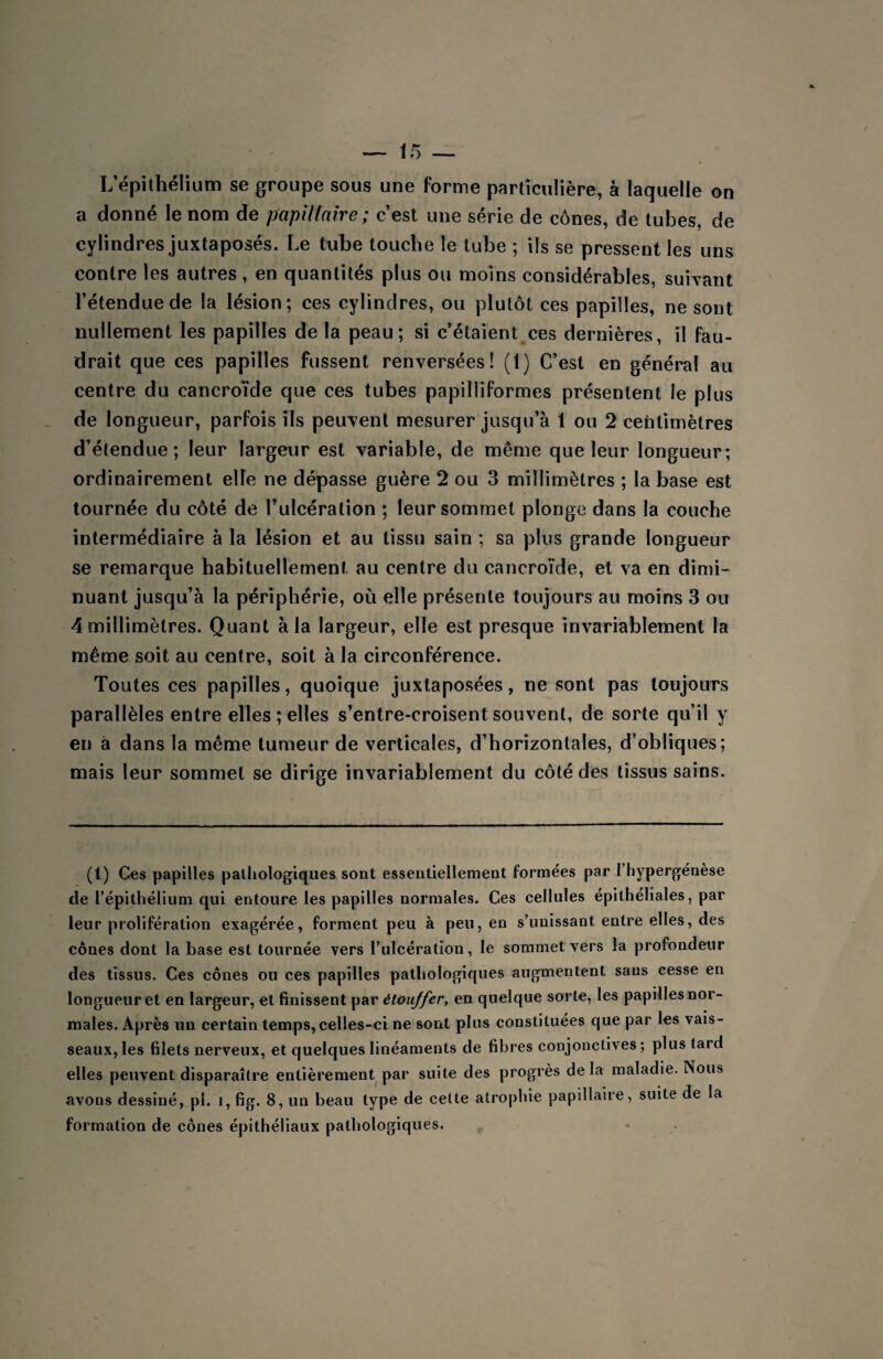 a donné le nom de papillaire ; c’est une série de cônes, de tubes, de cylindres juxtaposés. Le tube touche le tube ; ils se pressent les uns contre les autres, en quantités plus ou moins considérables, suivant l’étendue de la lésion; ces cylindres, ou plutôt ces papilles, ne sont nullement les papilles de la peau; si c’étaient ces dernières, il fau¬ drait que ces papilles fussent renversées! (1) C’est en général au centre du cancroïde que ces tubes papilliformes présentent le plus de longueur, parfois ils peuvent mesurer jusqu’à 1 ou 2 centimètres d’étendue; leur largeur est variable, de meme que leur longueur; ordinairement elle ne dépasse guère 2 ou 3 millimètres ; la base est tournée du côté de l’ulcération ; leur sommet plonge dans la couche intermédiaire à la lésion et au tissu sain ; sa plus grande longueur se remarque habituellement au centre du cancroïde, et va en dimi¬ nuant jusqu’à la périphérie, où elle présente toujours au moins 3 ou 4 millimètres. Quant à la largeur, elle est presque invariablement la même soit au centre, soit à la circonférence. Toutes ces papilles, quoique juxtaposées, ne sont pas toujours parallèles entre elles; elles s’entre-croisentsouvent, de sorte qu’il y en à dans la même tumeur de verticales, d’horizontales, d’obliques; mais leur sommet se dirige invariablement du côté des tissus sains. (t) Ces papilles pathologiques sont essentiellement formées par l’hypergénèse de l’épithélium qui entoure les papilles normales. Ces cellules épithéliales, par leur prolifération exagérée, forment peu à peu, en s’unissant entre elles, des cônes dont la base est tournée vers l’ulcération, le sommet vers la profondeur des tissus. Ces cônes ou ces papilles pathologiques augmentent sans cesse en longueur et en largeur, et finissent par étoujfer, en quelque sorte, les papilles nor¬ males. Après un certain temps, celles-ci ne sont plus constituées que par les vais¬ seaux, les filets nerveux, et quelques linéaments de fibres conjonctives; plus tard elles peuvent disparaître entièrement par suite des progrès de la maladie. Nous avons dessiné, pl. i,fig. 8, un beau type de cette atrophie papillaire, suite de la formation de cônes épithéliaux pathologiques.