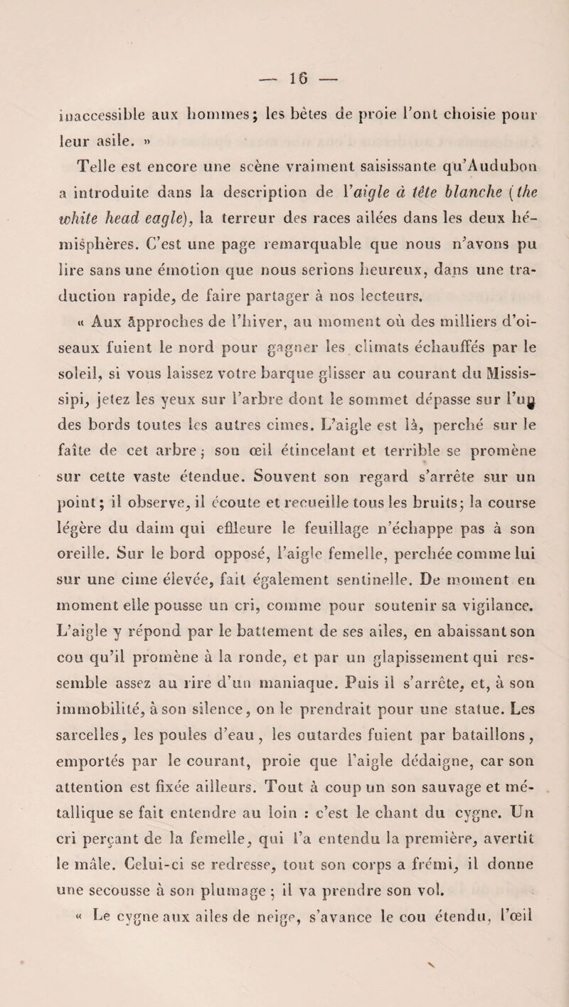 inaccessible aux hommes; les bêtes de proie l’ont choisie pour leur asile. » Telle est encore une scène vraiment saisissante qu’Audubon a introduite dans la description de Y aigle à tête blanche (the white head eagle), la terreur des races ailées dans les deux hé¬ misphères. C’est une page remarquable que nous n’avons pu lire sans une émotion que nous serions heureux, dans une tra¬ duction rapide, de faire partager à nos lecteurs. « x\ux Approches de l’hiver, au moment où des milliers d’oi¬ seaux fuient le nord pour gagner les climats échauffés par le soleil, si vous laissez votre barque glisser au courant du Missis- sipi, jetez les yeux sur l’arbre dont le sommet dépasse sur l’ug des bords toutes les autres cimes. L’aigle est là, perché sur le faîte de cet arbre ; son œil étincelant et terrible se promène sur cette vaste étendue. Souvent son regard s’arrête sur un point ; il observe, il écoute et recueille tous les bruits; la course légère du daim qui effleure le feuillage n’échappe pas à son oreille. Sur le bord opposé, l’aigle femelle, perchée comme lui sur une cime élevée, fait également sentinelle. De moment en moment elle pousse un cri, comme pour soutenir sa vigilance. L’aigle y répond par le battement de ses ailes, en abaissant son cou qu’il promène à la ronde, et par un glapissement qui res¬ semble assez au lire d’un maniaque. Puis il s’arrête, et, à son immobilité, à son silence, on le prendrait pour une statue. Les sarcelles, les poules d’eau, les outardes fuient par bataillons, emportés par le courant, proie que l’aigle dédaigne, car son attention est fixée ailleurs. Tout à coup un son sauvage et mé¬ tallique se fait entendre au loin : c’est le chant du cygne. Un cri perçant de la femelle, qui l’a entendu la première, avertit le mâle. Celui-ci se redresse, tout son corps a frémi, il donne une secousse à son plumage ; il va prendre son vol. « Le cygne aux ailes de neige, s’avance le cou étendu, l’œil V