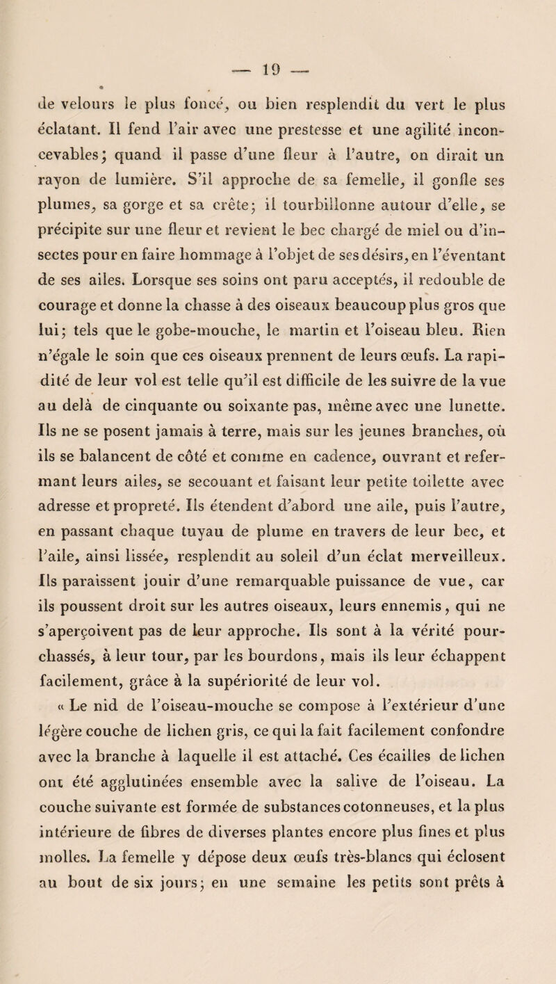 de velours le plus foncé, ou bien resplendit du vert le plus éclatant. Il fend l’air avec une prestesse et une agilité incon¬ cevables; quand il passe d’une fleur à l’autre, on dirait un rayon de lumière. S’il approche de sa femelle, il gonfle ses plumes, sa gorge et sa crête; il tourbillonne autour d’elle, se précipite sur une fleur et revient le bec chargé de miel ou d’in¬ sectes pour en faire hommage à l’objet de ses désirs, en l’éventant de ses ailes. Lorsque ses soins ont paru acceptés, il redouble de courage et donne la chasse à des oiseaux beaucoup plus gros que lui; tels que le gobe-mouche, le martin et l’oiseau bleu. Lien n’égale le soin que ces oiseaux prennent de leurs œufs. La rapi¬ dité de leur vol est telle qu’il est difficile de les suivre de la vue au delà de cinquante ou soixante pas, même avec une lunette. Ils ne se posent jamais à terre, mais sur les jeunes branches, où ils se balancent de côté et comme en cadence, ouvrant et refer¬ mant leurs ailes, se secouant et faisant leur petite toilette avec adresse et propreté. Ils étendent d’abord une aile, puis l’autre, en passant chaque tuyau de plume en travers de leur bec, et l’aile, ainsi lissée, resplendit au soleil d’un éclat merveilleux. Ils paraissent jouir d’une remarquable puissance de vue, car ils poussent droit sur les autres oiseaux, leurs ennemis, qui ne s’aperçoivent pas de leur approche. Ils sont à la vérité pour¬ chassés, à leur tour, par les bourdons, mais ils leur échappent facilement, grâce à la supériorité de leur vol. « Le nid de l’oiseau-mouche se compose à l’extérieur d’une légère couche de lichen gris, ce qui la fait facilement confondre avec la branche à laquelle il est attaché. Ces écailies de lichen ont été agglutinées ensemble avec la salive de l’oiseau. La couche suivante est formée de substances cotonneuses, et la plus intérieure de fibres de diverses plantes encore plus fines et plus molles. La femelle y dépose deux œufs très-blancs qui éclosent au bout de six jours; en une semaine les petits sont prêts à
