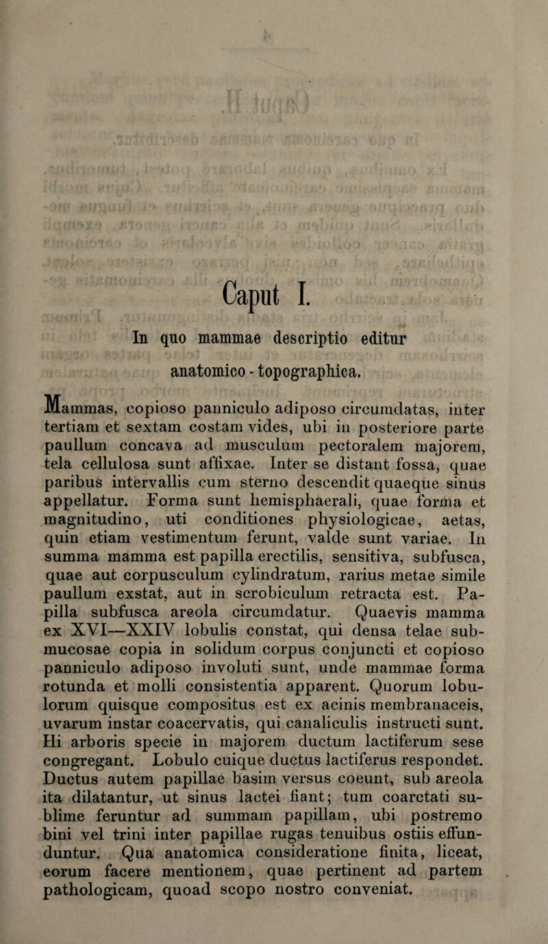 Caput I. In quo mammae descriptio editur anatomico - topographica. Mammas, copioso panniculo adiposo circumdatas, inter tertiam et sextam costam vides, ubi in posteriore parte paullum concava ad musculum pectoralem majorem, tela cellulosa sunt affixae. Inter se distant fossa, quae paribus intervallis cum sterno descendit quaeque sinus appellatur. Forma sunt hemisphaerali, quae forma et magnitudino, uti conditiones physiologicae, aetas, quin etiam vestimentum ferunt, valde sunt variae. In summa mamma est papilla erectilis, sensitiva, subfusca, quae aut corpusculum cylindratum, rarius metae simile paullum exstat, aut in scrobiculum retracta est. Pa¬ pilla subfusca areola circumdatur. Quaevis mamma ex XYI—XXIV lobulis constat, qui densa telae sub¬ mucosae copia in solidum corpus conjuncti et copioso panniculo adiposo involuti sunt, unde mammae forma rotunda et molli consistentia apparent. Quorum lobu¬ lorum quisque compositus est ex acinis membranaceis, uvarum instar coacervatis, qui canaliculis instructi sunt. Hi arboris specie in majorem ductum lactiferum sese congregant. Lobulo cuique ductus lactiferus respondet. Ductus autem papillae basim versus coeunt, sub areola ita dilatantur, ut sinus lactei fiant; tum coarctati su¬ blime feruntur ad summam papillam, ubi postremo bini vel trini inter papillae rugas tenuibus ostiis effun¬ duntur. Qua anatomica consideratione finita, liceat, eorum facere mentionem, quae pertinent ad partem pathologicam, quoad scopo nostro conveniat.