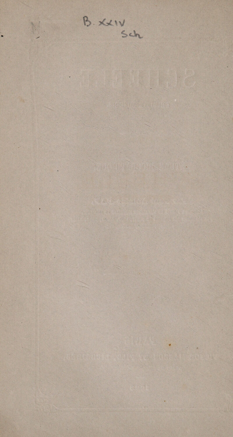 •%£' _/* % % .. w/. vv_