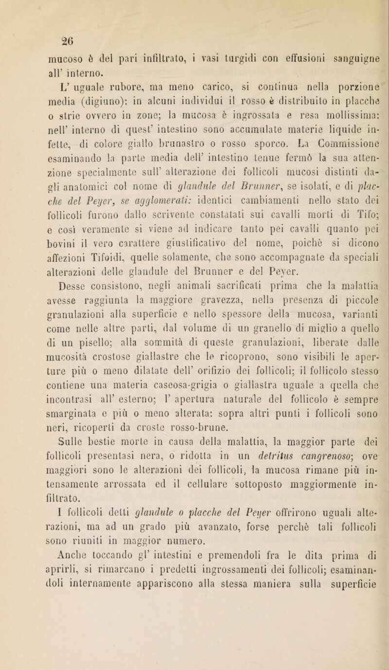 mucoso è del pari infiltrato, i vasi turgidi con effusioni sanguigne all’ interno. L’ uguale rubore, ma meno carico, si continua nella porzione media (digiuno): in alcuni individui il rosso è distribuito in placche o strie ovvero in zone; la mucosa è ingrossata e resa mollissima: nell’ interno di quest’ intestino sono accumulate materie liquide in¬ fette, di colore giallo brunaslro o rosso sporco. La Commissione esaminando la parte media deli’ intestino tenue fermò la sua atten¬ zione specialmente sull’ alterazione dei follicoli mucosi distinti da¬ gli anatomici col nome di glandule del Brunner, se isolati, e di plac¬ che del Peyer, se agglomerati: identici cambiamenti nello stato dei follicoli furono dallo scrivente constatali sui cavalli morti di Tifo; e così veramente si viene ad indicare tanto pei cavalli quanto poi bovini il vero carattere giustificativo del nome, poiché si dicono affezioni Tifoidi, quelle solamente, che sono accompagnate da speciali alterazioni delle glandule del Brunner e del Peyer. Desse consistono, negli animali sacrificati prima che la malattia avesse raggiunta la maggiore gravezza, nella presenza di piccole granulazioni alla superficie e nello spessore della mucosa, varianti come nelle altre parti, dal volume di un granello di miglio a quello di un pisello; alla sommità di queste granulazioni, liberate dalle mucosità crostose giallastre che le ricoprono, sono visibili le aper¬ ture più o meno dilatate dell’ orifizio dei follicoli; il follicolo stesso contiene una materia caseosa-grigia o giallastra uguale a quella che incontrasi all’ esterno; T apertura naturale del follicolo è sempre smarginata c più o meno alterata: sopra altri punti i follicoli sono neri, ricoperti da croste rosso-brune. Sulle bestie morte in causa della malattia, la maggior parte dei follicoli presentasi nera, o ridotta in un detrìtus cangrenoso; ove maggiori sono le alterazioni dei follicoli, la mucosa rimane più in¬ tensamente arrossata ed il cellulare sottoposto maggiormente in¬ filtrato. I follicoli detti glandule o placche del Peyer offrirono uguali alte¬ razioni, ma ad un grado più avanzato, forse perchè tali follicoli sono riuniti in maggior numero. Anche toccando gl’ intestini e premendoli fra le dita prima di aprirli, si rimarcano i predetti ingrossamenti dei follicoli; esaminan¬ doli internamente appariscono alla stessa maniera sulla superficie