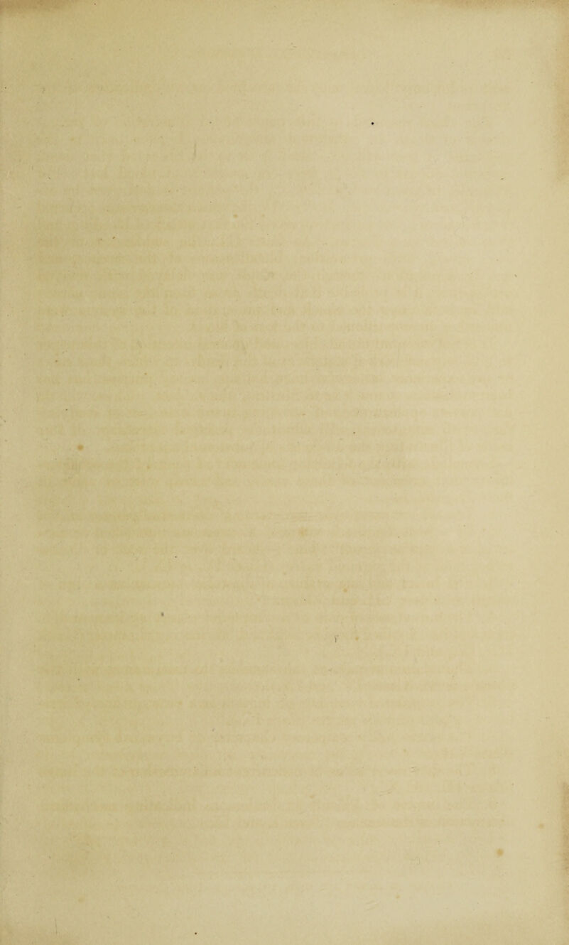 t s ' ‘ ' . W I r • '