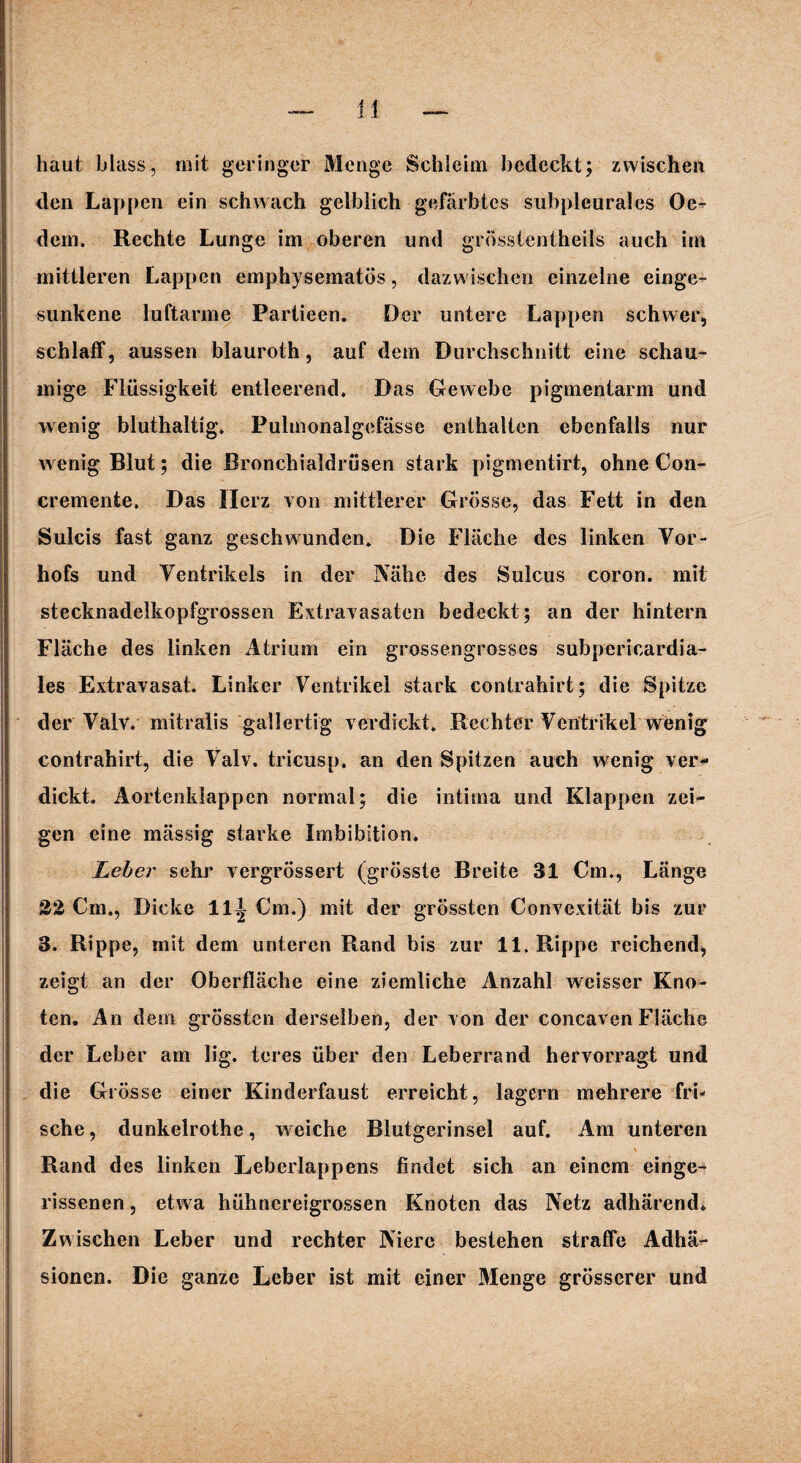 haut blass, mit geringer Menge Schleim bedeckt; zwischen den Lappen ein schwach gelblich gefärbtes subpleurales Oe- dem. Rechte Lunge im oberen und grösstentheils auch im mittleren Lappen emphysematos, dazwischen einzelne einge¬ sunkene luftarme Partieen. Der untere Lappen schwer, schlaff, aussen blauroth, auf dem Durchschnitt eine schau¬ mige Flüssigkeit entleerend. Das Gewebe pigmentarm und wenig bluthaltig. Pulmonalgefässe enthalten ebenfalls nur w enig Blut; die Bronchialdrüsen stark pigmentirt, ohne Con- cremente. Das Herz von mittlerer Grösse, das Fett in den Sulcis fast ganz geschwunden. Die Fläche des linken Vor- hofs und Ventrikels in der Nähe des Sulcus coron. mit stecknadelkopfgrossen Extravasaten bedeckt; an der hintern Fläche des linken Atrium ein grossengrosses subpcricardia- les Extravasat. Linker Ventrikel stark contrahirt; die Spitze der Valv. mitralis gallertig verdickt. Rechter Ventrikel wenig contrahirt, die Valv. tricusp. an den Spitzen auch wenig ver¬ dickt. Aortenklappen normal; die intima und Klappen zei¬ gen eine massig starke Imbibition. Leber sehr vergrössert (grösste Breite 31 Cm., Länge 22 Cm., Dicke 11| Cm.) mit der grössten Convexität bis zur 3. Rippe, mit dem unteren Rand bis zur 11. Rippe reichend, zeigt an der Oberfläche eine ziemliche Anzahl weisser Kno¬ ten. An dem grössten derselben, der von der concaven Fläche der Leber am lig. teres über den Leberrand hervorragt und die Grösse einer Kinderfaust erreicht, lagern mehrere fri¬ sche , dunkelrothe, w eiche Blutgerinsel auf. Am unteren Rand des linken Leberlappens findet sich an einem einge¬ rissenen , etwa hühnereigrossen Knoten das Netz adhärend., Zwischen Leber und rechter Niere bestehen straffe Adhä¬ sionen. Die ganze Leber ist mit einer Menge grösserer und