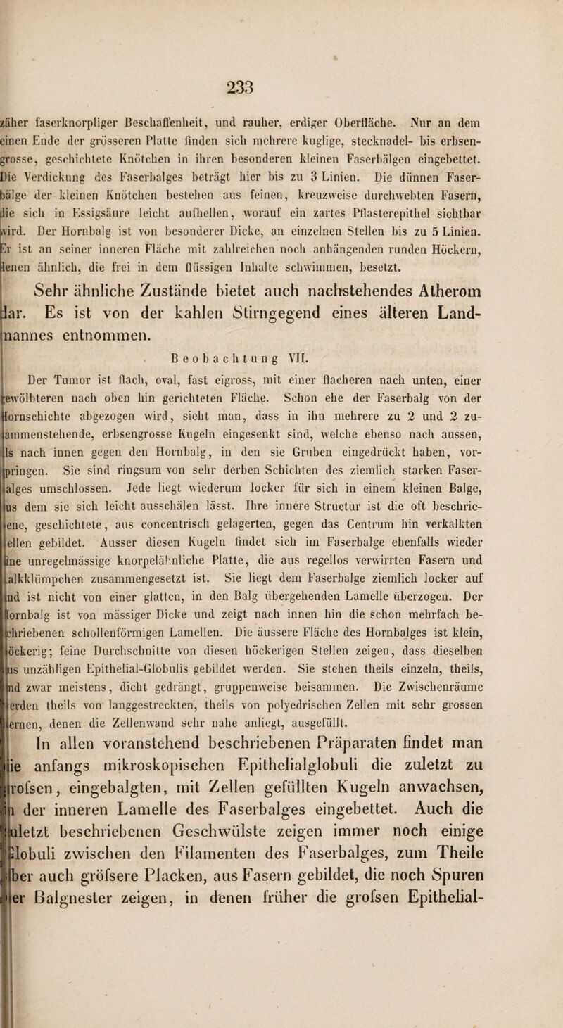 zäher faserknorpliger Beschaffenheit, und rauher, erdiger Oberfläche. Nur an dem einen Ende der grösseren Platte finden sich mehrere kuglige, Stecknadel- bis erbsen¬ grosse, geschichtete Knötchen in ihren besonderen kleinen Faserltälgen eingebettet. Die Verdickung des Faserbalges beträgt hier bis zu 3 Linien. Die dünnen Faser¬ bälge der kleinen Knötchen bestehen aus feinen, kreuzweise durchwehten Fasern, Jie sich in Essigsäure leicht aufhellen, worauf ein zartes Pflastcrepithel sichtbar l>vird. Der Hornbalg ist von besonderer Dicke, an einzelnen Stellen bis zu 5 Linien. iSr ist an seiner inneren Fläche mit zahlreichen noch anhängenden runden Höckern, üenen ähnlich, die frei in dem flüssigen Inhalte schwimmen, besetzt. Sehr ähnliche Zustände bietet auch nachstehendes Atherom dar. Es ist von der kahlen Stirngegend eines älteren Land- nannes entnommen. Beobachtung VII. Der Tumor ist flach, oval, fast eigross, mit einer flacheren nach unten, einer r:ewölbteren nach oben hin gerichteten Fläche. Schon ehe der Faserbalg von der Hornschichte abgezogen wird, sieht man, dass in ihn mehrere zu 2 und 2 zu- jammenstehende, erbsengrosse Kugeln eingesenkt sind, welche ebenso nach aussen, !ls nach innen gegen den Hornbalg, in den sie Gruben eingedrückt haben, vor- jpringen. Sie sind ringsum von sehr derben Schichten des ziemlich starken Faser- lalges umschlossen. Jede liegt wiederum locker für sich in einem kleinen Balge, jus dem sie sich leicht ausschälen lässt. Ihre innere Structur ist die oft beschrie¬ bene, geschichtete, aus concentrisch gelagerten, gegen das Centrum hin verkalkten eilen gebildet. Ausser diesen Kugeln findet sich im Faserbalge ebenfalls wieder iine unregelmässige knorpeläb.nliche Platte, die aus regellos verwirrten Fasern und alkklümpchen zusammengesetzt ist. Sie liegt dem Faserbalge ziemlich locker auf jiid ist nicht von einer glatten, in den Balg übergehenden Lamelle überzogen. Der lornbalg ist von mässiger Dicke und zeigt nach innen hin die schon mehrfach be- ’chriebenen schollenförmigen Lamellen. Die äussere Fläche des Hornbalges ist klein, löckerig; feine Durchschnitte von diesen höckerigen Stellen zeigen, dass dieselben kus unzähligen Epithelial-Globulis gebildet werden. Sie stehen theils einzeln, theils, |md zwar meistens, dicht gedrängt, gruppenweise beisammen. Die Zwischenräume Werden theils von langgestreckten, theils von polyedrischen Zellen mit sehr grossen ^hernen, denen die Zellenwand sehr nahe anliegt, ausgefüllt. ’ ln allen voranstehend beschriebenen Präparaten findet man ’flie anfangs mikroskopischen Epithelialglobuli die zuletzt zu Ijirofsen, eingebalgten, mit Zellen gefüllten Kugeln anwachsen, liii der inneren Lamelle des Faserbalges eingebettet. Auch die 'luletzt beschriebenen Geschwülste zeigen immer noch einige l'ulobuli zwischen den Filamenten des Faserbalges, zum Theiie .dber auch gröfsere Placken, aus Fasern gebildet, die noch Spuren 3'<er ßalgnester zeigen, in denen früher die grofsen Epithelial-