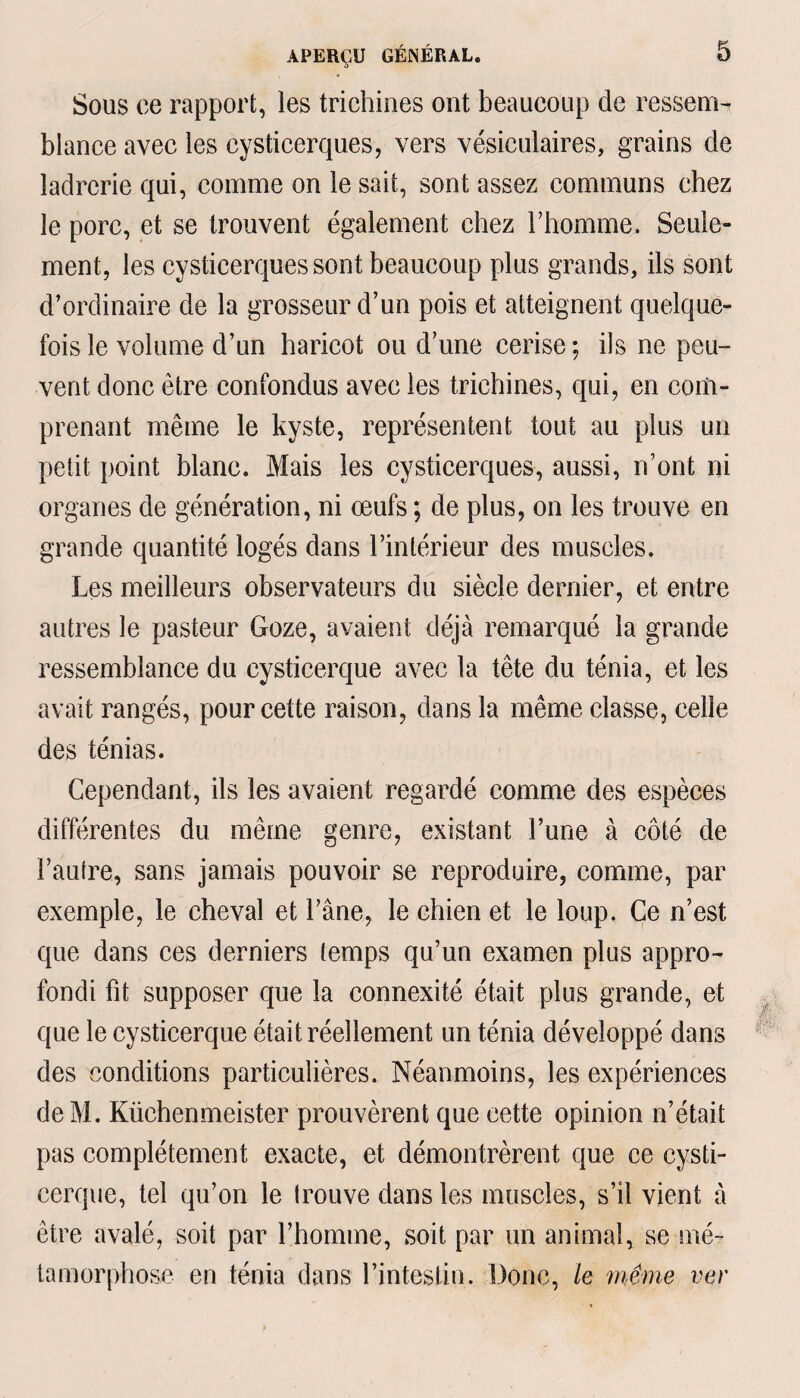 Sous ce rapport, les trichines ont beaucoup de ressem¬ blance avec les cysticerques, vers vésiculaires, grains de ladrerie qui, comme on le sait, sont assez communs chez le porc, et se trouvent également chez l’homme. Seule» ment, les cysticerques sont beaucoup plus grands, ils sont d’ordinaire de la grosseur d’un pois et atteignent quelque¬ fois le volume d’un haricot ou d’une cerise ; ils ne peu¬ vent donc être confondus avec les trichines, qui, en com¬ prenant même le kyste, représentent tout au plus un petit point blanc. Mais les cysticerques, aussi, n’ont ni organes de génération, ni œufs ; de plus, on les trouve en grande quantité logés dans l’intérieur des muscles. Les meilleurs observateurs du siècle dernier, et entre autres le pasteur Goze, avaient déjà remarqué la grande ressemblance du cysticerque avec la tête du ténia, et les avait rangés, pour cette raison, dans la même classe, celle des ténias. Cependant, ils les avaient regardé comme des espèces différentes du même genre, existant l’une à côté de l’autre, sans jamais pouvoir se reproduire, comme, par exemple, le cheval et l’âne, le chien et le loup. Ce n’est que dans ces derniers temps qu’un examen plus appro¬ fondi fit supposer que la connexité était plus grande, et que le cysticerque était réellement un ténia développé dans des conditions particulières. Néanmoins, les expériences de M. Küchenmeister prouvèrent que cette opinion n’était pas complètement exacte, et démontrèrent que ce cysti¬ cerque, tel qu’on le trouve dans les muscles, s’il vient à être avalé, soit par l’homme, soit par un animal, se mé¬ tamorphose en ténia dans l’intestin. Donc, le même ver