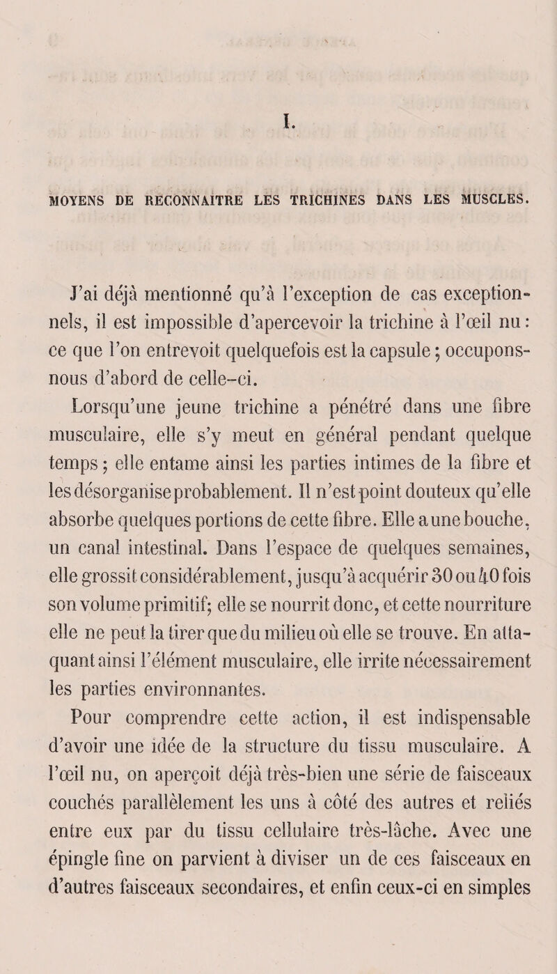 MOYENS DE RECONNAITRE LES TRICHINES DANS LES MUSCLES. J’ai déjà mentionné qu’à l’exception de cas exception- nels, il est impossible d’apercevoir la trichine à l’œil nu : ce que l’on entrevoit quelquefois est la capsule ; occupons- nous d’abord de celle-ci. Lorsqu’une jeune trichine a pénétré dans une fibre musculaire, elle s’y meut en général pendant quelque temps ; elle entame ainsi les parties intimes de la fibre et les désorganise probablement. 11 n’est point douteux qu’elle absorbe quelques portions de cette fibre. Elle a une bouche, un canal intestinal. Dans l’espace de quelques semaines, elle grossit considérablement, jusqu’à acquérir 50 ou 40 fois son volume primitif; elle se nourrit donc, et cette nourriture elle ne peut la tirer que du milieu où elle se trouve. En atta¬ quant ainsi l’élément musculaire, elle irrite nécessairement les parties environnantes. Pour comprendre cette action, il est indispensable d’avoir une idée de la structure du tissu musculaire. A l’œil nu, on aperçoit déjà très-bien une série de faisceaux couchés parallèlement les uns à côté des autres et reliés entre eux par du tissu cellulaire très-lâche. Avec une épingle fine on parvient à diviser un de ces faisceaux en d’autres faisceaux secondaires, et enfin ceux-ci en simples