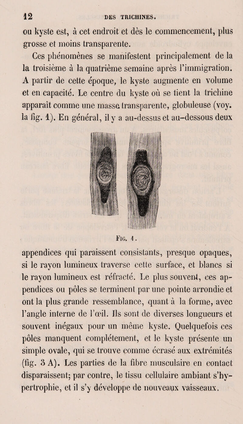 ou kyste est, à cet endroit et dès le commencement, plus grosse et moins transparente. Ces phénomènes se manifestent principalement de la la troisième à la quatrième semaine après l’immigration. A partir de cette époque, le kyste augmente en volume et en capacité. Le centre du kyste où se tient la trichine apparaît comme une masse transparente, globuleuse (voy. la fig. 1). En général, il y a au-dessus et au-dessous deux Fig. \ . appendices qui paraissent consistants, presque opaques, si le rayon lumineux traverse cette surface, et blancs si le rayon lumineux est réfracté. Le plus souvent, ces ap¬ pendices ou pôles se terminent par une pointe arrondie et ont la plus grande ressemblance, quant à la forme, avec l’angle interne de l’œil. Ils sont de diverses longueurs et souvent inégaux pour un même kyste. Quelquefois ces pôles manquent complètement, et le kyste présente un simple ovale, qui se trouve comme écrasé aux extrémités (fig. SA). Les parties de la fibre musculaire en contact disparaissent; par contre, le tissu cellulaire ambiant s’hy- pertrophie, et il s’y développe de nouveaux vaisseaux.