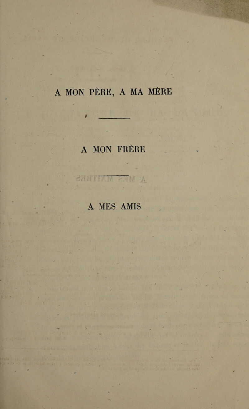 A MON PÈRE, A MA MÈRE t _ A MON FRÈRE A MES AMIS I
