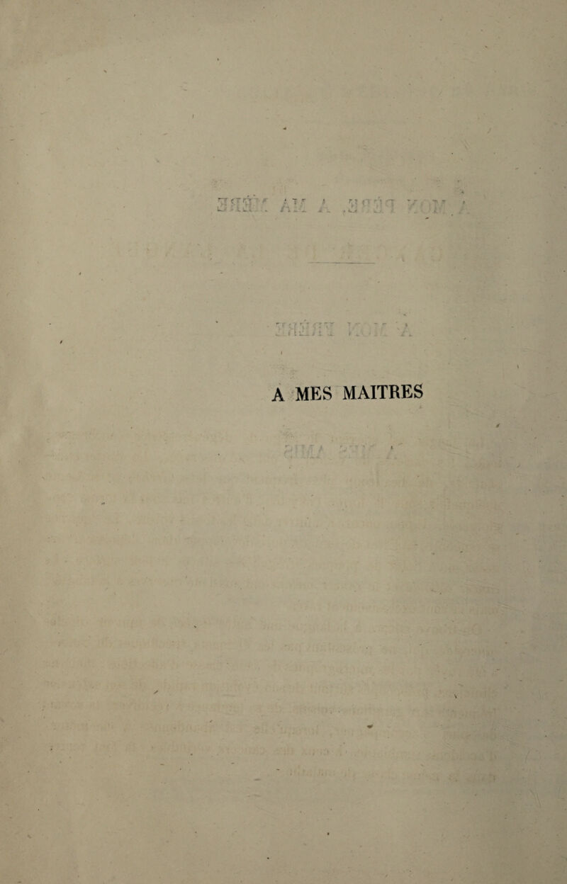 rr «Tfrr • *- * r - 11. • iC; . /V: .. * Lm, •» K. .g T * *~r r ,■ 1 * 1 ■ r r : ; r • J - - T 1 s i li_ / î. vt » A MES MAITRES P r ,t -1 )