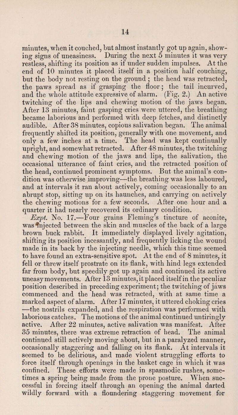 minutes, when it couched, but almost instantly got up again, show¬ ing signs of uneasiness. During the next 5 minutes it was very restless, shifting its position as if under sudden impulses. At the end of 10 minutes it placed itself in a position half couching, but the body not resting on the ground ; the head was retracted, the paws spread as if grasping the floor; the tail incurved, and the whole attitude expressive of alarm. (Fig. 2.) An active twitching of the lips and chewing motion of the jaws began. After 13 minutes, faint gasping cries were uttered, the breathing became laborious and performed with deep fetches, and distinctly audible. After 38 minutes, copious salivation began. The animal frequently shifted its position, generally with one movement, and only a few inches at a time. The head was kept continually upright, and somewhat retracted. After 48 minutes, the twitching and chewing motion of the jaws and lips, the salivation, the occasional utterance of faint cries, and the retracted position of the head, continued prominent symptoms. But the animal’s con¬ dition was otherwise improving—the breathing was less laboured, and at intervals it ran about actively, coming occasionally to an abrupt stop, sitting up on its haunches, and carrying on actively the chewing motions for a few seconds. After one hour and a quarter it had nearly recovered its ordinary condition. Expt. No. 17.—Four grains Fleming’s tincture of aconite, was injected between the skin and muscles of the back of a large brown buck rabbit. It immediately displayed lively agitation, shifting its position incessantly, and frequently licking the wound made in its back by the injecting needle, which this time seemed to have found an extra-sensitive spot. At the end of 8 minutes, it fell or threw itself prostrate on its- flank, with hind legs extended far from body, but speedily got up again and continued its active uneasy movements. After 13 minutes, it placed itself in the peculiar position described in preceding experiment; the twitching of jaws commenced and the head was retracted, with at same time a marked aspect of alarm. After 17 minutes, it uttered choking cries —the nostrils expanded, and the respiration was performed with laborious catches. The motions of the animal continued untiringly active. After 22 minutes, active salivation was manifest. After 35 minutes, there was extreme retraction of head. The animal continued still actively moving about, but in a paralyzed manner, occasionally staggering and falling on its flank. At intervals it seemed to be delirious, and made violent struggling efforts to force itself through openings in the basket cage in which it w~as confined. These efforts were made in spasmodic rushes, some¬ times a spring being made from the prone posture. When suc¬ cessful in forcing itself through an opening the animal darted wildly forward with a floundering staggering movement for
