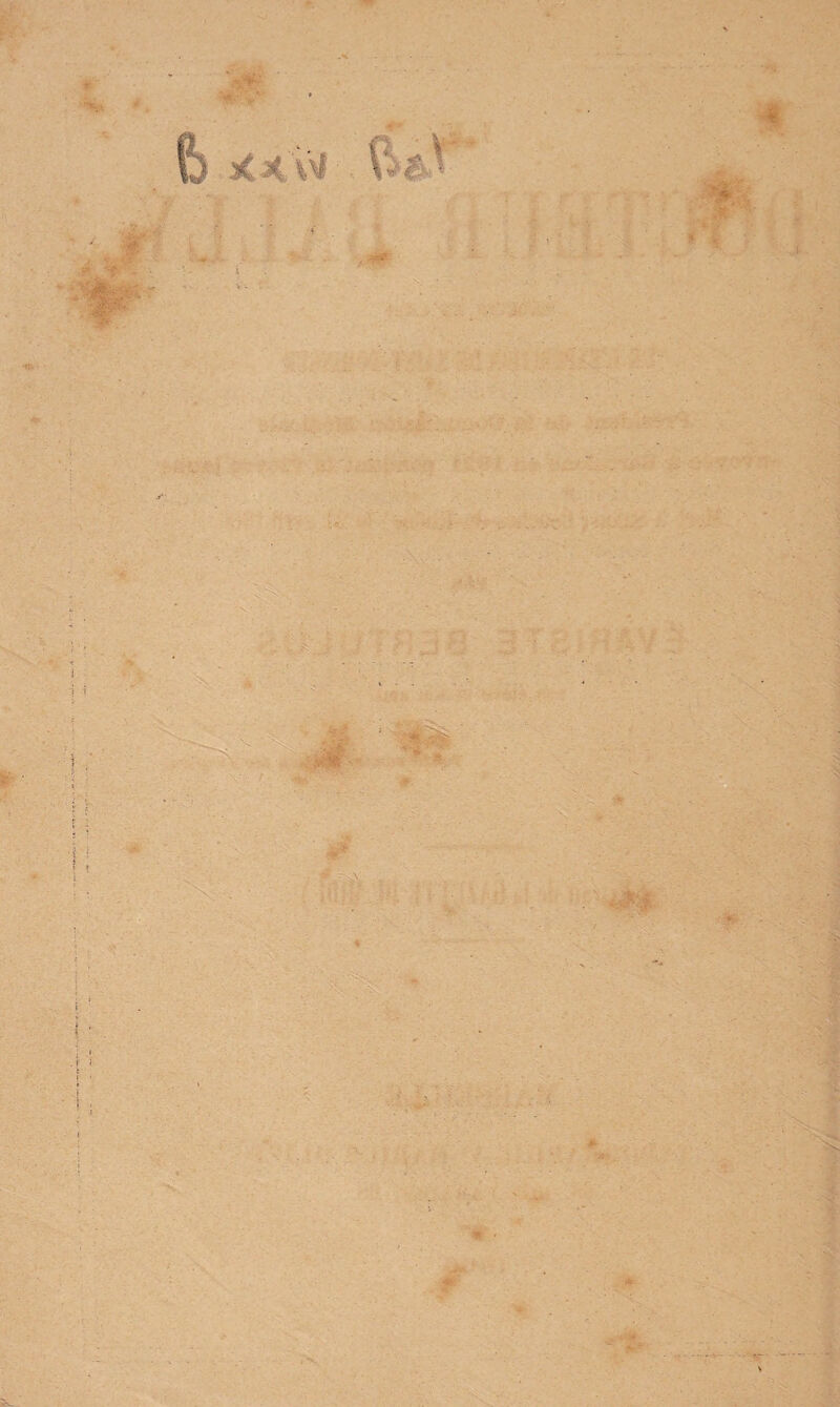 A- 5^ ■ •' ; ■ -v' .