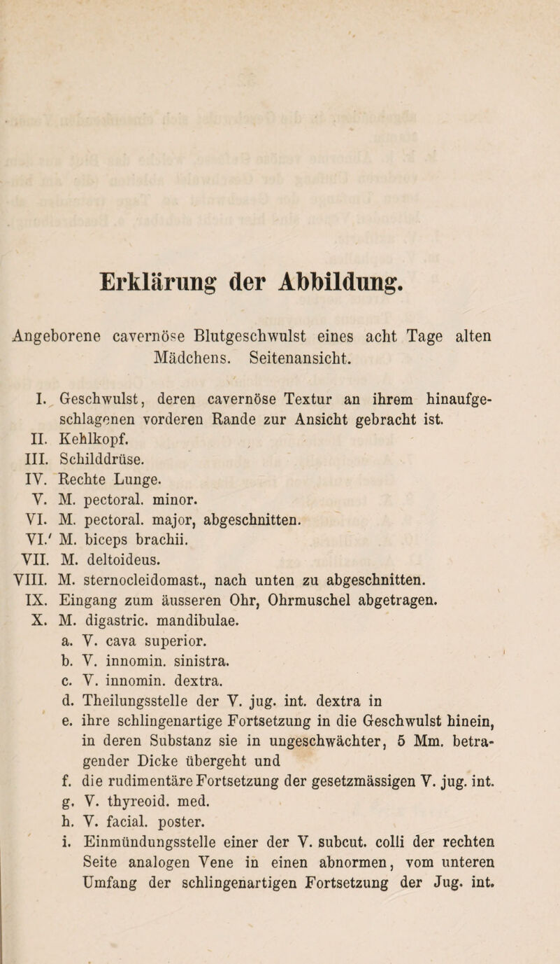 Erklärung der Abbildung. Angeborene cavernöse Blutgeschwulst eines acht Tage alten Mädchens. Seitenansicht. I. Geschwulst, deren cavernöse Textur an ihrem hinaufge¬ schlagenen vorderen Rande zur Ansicht gebracht ist. II. Kehlkopf. III. Schilddrüse. IV. Rechte Lunge. Y. M. pectoral. minor. VI. M. pectoral. major, abgeschnitten. VI/ M. biceps brachii. VII. M. deltoideus. VIII. M. sternocleidomast., nach unten zu abgeschnitten. IX. Eingang zum äusseren Ohr, Ohrmuschel abgetragen. X. M. digastric. mandibulae. a. V. cava Superior. b. V. innomin. sinistra. c. V. innomin. dextra. d. Theilungsstelle der V. jug. int. dextra in e. ihre schlingenartige Fortsetzung in die Geschwulst hinein, in deren Substanz sie in ungeschwächter, 5 Mm. betra¬ gender Dicke übergeht und f. die rudimentäre Fortsetzung der gesetzmässigen V. jug. int. g. V. thyreoid. med. h. V. facial. poster. i. Einmündungsstelle einer der V. subcut. colli der rechten Seite analogen Vene in einen abnormen, vom unteren Umfang der schlingenartigen Fortsetzung der Jug. int.
