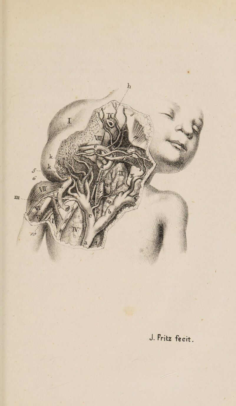 J- Fritz fecit