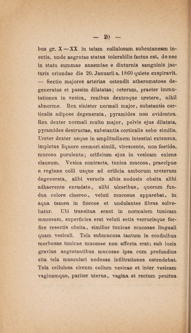 bus gr. X — XX in telam collulosam subcutaneam in- ectis, unde aegrotae status tolerabilis factus est, donec in statu summae anaemiae e diuturnis sanguinis jac¬ turis oriundae die 20. Januarii a. 1860 quiete exspiravit. — Sectio majores arterias ostendit atheromatose de¬ generatas et passim dilatatas; ceterum, praeter immu¬ tationes in vesica, renibus dextroque uretere, nihil abnorme. Ren sinister normali major, substantia cor¬ ticalis adipose degenerata, pyramides non evidentes. Ren dexter normali multo major, pelvis ejus dilatata, pyramides destructae, substantia corticalis sebo similis. Ureter dexter usque in amplitudinem intestini extensus, impletus liquore cremori simili, virescente, non foetido, mucoso purulento; orificium ejus in vesicam exiens clausum. Vesica contracta, tunica mucosa, praecipue e regione colli usque ad orificia amborum ureterum degenerata, alibi verucis albis nodosis obsita alibi adhaerente exsudato, alibi ulceribus, quorum fun¬ dus colore cinereo, veluti mucosus apparebat, in aqua tamen in floccos et undulantes fibras solve¬ batur. Ubi transitus erant in normalem tunicam mucosam, superficies erat veluti setis verrucisque for¬ fice resectis obsita, similior tunicae mucosae linguali quam vesicali. Tela submucosa tantum in confinibus morbosae tunicae mucosae non affecta erat; sub locis gravius aegrotantibus mucosae ipsa cum profundius sita tela musculari nodosas infiltrationes ostendebat. Tela cellulosa circum collum vesicae et inter vesicam vaginamque, pariter uterus, vagina et rectum penitus