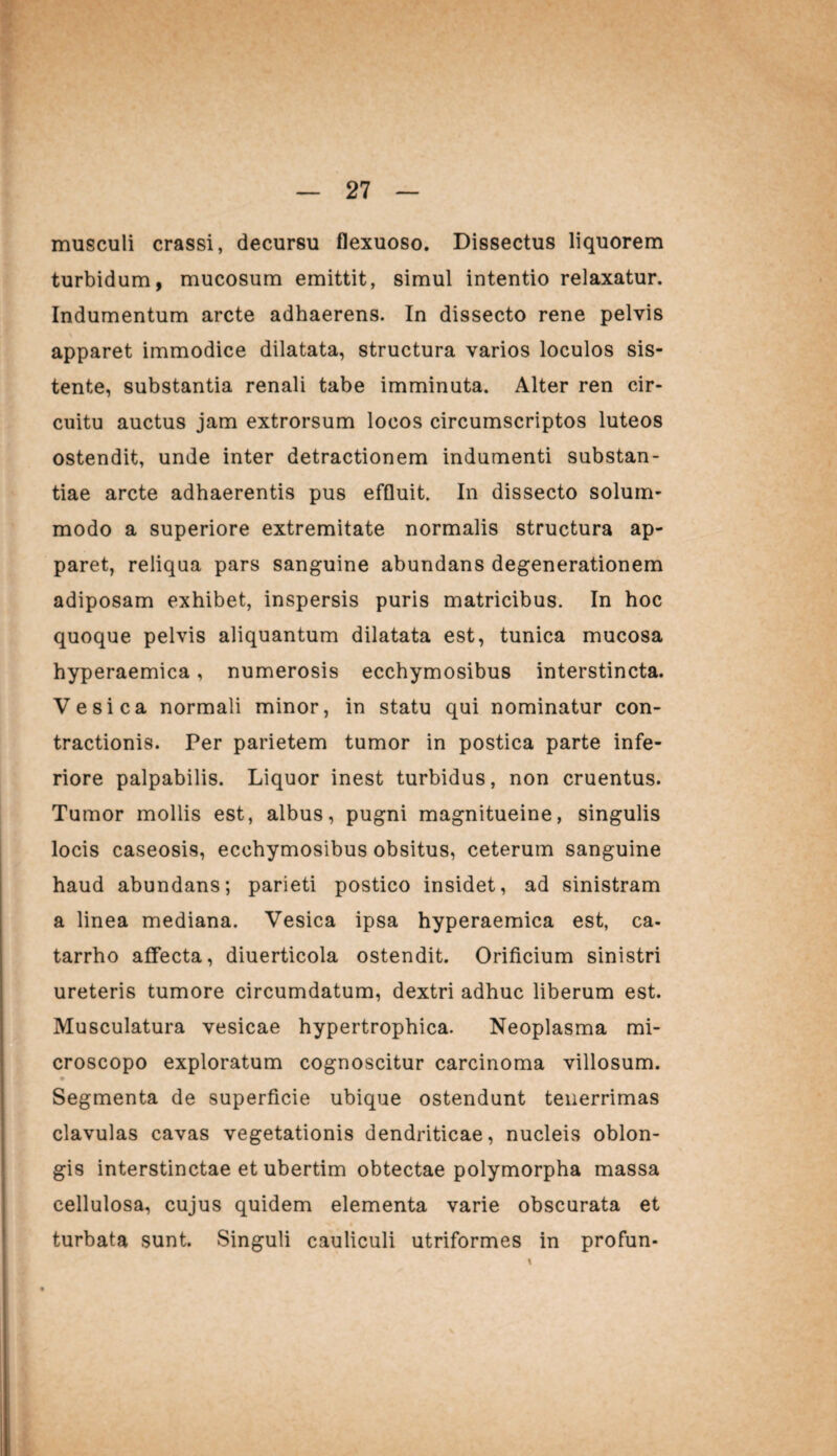 musculi crassi, decursu flexuoso. Dissectus liquorem turbidum, mucosum emittit, simul intentio relaxatur. Indumentum arcte adhaerens. In dissecto rene pelvis v apparet immodice dilatata, structura varios loculos sis¬ tente, substantia renali tabe imminuta. Alter ren cir¬ cuitu auctus jam extrorsum locos circumscriptos luteos ostendit, unde inter detractionem indumenti substan¬ tiae arcte adhaerentis pus effluit. In dissecto solum¬ modo a superiore extremitate normalis structura ap¬ paret, reliqua pars sanguine abundans degenerationem adiposam exhibet, inspersis puris matricibus. In hoc quoque pelvis aliquantum dilatata est, tunica mucosa hyperaemica, numerosis ecchymosibus interstincta. Vesica normali minor, in statu qui nominatur con¬ tractionis. Per parietem tumor in postica parte infe¬ riore palpabilis. Liquor inest turbidus, non cruentus. Tumor mollis est, albus, pugni magnitueine, singulis locis caseosis, ecchymosibus obsitus, ceterum sanguine haud abundans; parieti postico insidet, ad sinistram a linea mediana. Vesica ipsa hyperaemica est, ca- tarrho affecta, diuerticola ostendit. Orificium sinistri ureteris tumore circumdatum, dextri adhuc liberum est. Musculatura vesicae hypertrophica. Neoplasma mi- croscopo exploratum cognoscitur carcinoma villosum. • Segmenta de superficie ubique ostendunt tenerrimas clavulas cavas vegetationis dendriticae, nucleis oblon¬ gis interstinctae et ubertim obtectae polymorpha massa cellulosa, cujus quidem elementa varie obscurata et -> • turbata sunt. Singuli cauliculi utriformes in profun-