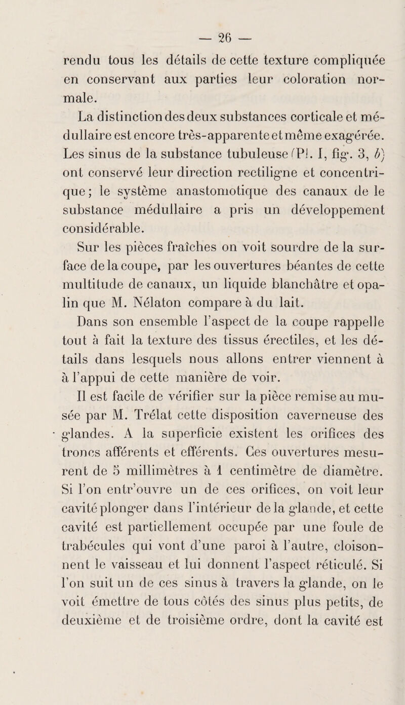 rendu tous les détails de cette texture compliquée en conservant aux parties leur coloration nor¬ male. La distinction des deux substances corticale et mé¬ dullaire est encore très-apparente et même exagérée. Les sinus de la substance tubuleuse (Pi. 1, fig. 3, b) ont conservé leur direction rectiligne et concentri¬ que; le système anastomotique des canaux de le substance médullaire a pris un développement considérable. Sur les pièces fraîches on voit sourdre de la sur¬ face de la coupe, par les ouvertures béantes de cette multitude de canaux, un liquide blanchâtre et opa¬ lin que M. Nélaton compare à du lait. Dans son ensemble l’aspect de la coupe rappelle tout h fait la texture des tissus érectiles, et les dé¬ tails dans lesquels nous allons entrer viennent à à l’appui de cette manière de voir. Il est facile de vérifier sur la pièce remise au mu¬ sée par M. Trélat cette disposition caverneuse des * glandes. A la superficie existent les orifices des troncs afférents et efférents. Ces ouvertures mesu¬ rent de 5 millimètres à 1 centimètre de diamètre. Si l’on entr’ouvre un de ces orifices, on voit leur cavité plonger dans l’intérieur delà glande, et cette cavité est partiellement occupée par une foule de trabécules qui vont d’une paroi à l’autre, cloison¬ nent le vaisseau et lui donnent l’aspect réticulé. Si l’on suit un de ces sinus à travers la glande, on le voit émettre de tous côtés des sinus plus petits, de deuxième et de troisième ordre, dont la cavité est