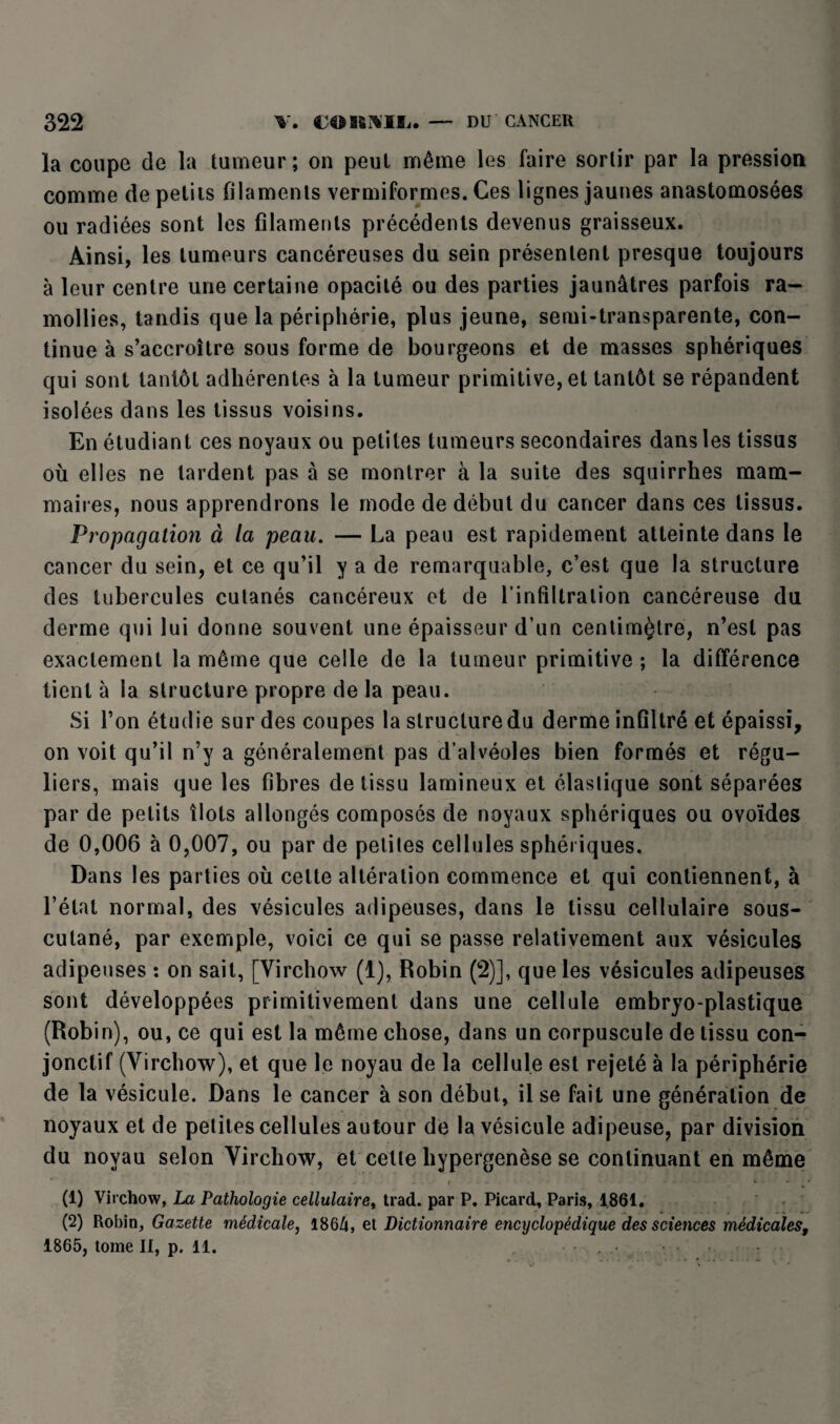 la coupe de la tumeur; on peut même les faire sortir par la pression comme de petits filaments vermiformes. Ces lignes jaunes anastomosées ou radiées sont les filaments précédents devenus graisseux. Ainsi, les tumeurs cancéreuses du sein présentent presque toujours à leur centre une certaine opacité ou des parties jaunâtres parfois ra¬ mollies, tandis que la périphérie, plus jeune, semi-transparente, con¬ tinue à s’accroître sous forme de bourgeons et de masses sphériques qui sont tantôt adhérentes à la tumeur primitive, et tantôt se répandent isolées dans les tissus voisins. En étudiant ces noyaux ou petites tumeurs secondaires dans les tissus où elles ne tardent pas à se montrer à la suite des squirrhes mam¬ maires, nous apprendrons le mode de début du cancer dans ces tissus. Propagation à la peau. — La peau est rapidement atteinte dans le cancer du sein, et ce qu’il y a de remarquable, c’est que la structure des tubercules cutanés cancéreux et de l’infiltration cancéreuse du derme qui lui donne souvent une épaisseur d’un centimètre, n’est pas exactement la même que celle de la tumeur primitive ; la différence tient à la structure propre de la peau. Si l’on étudie sur des coupes la structure du derme infiltré et épaissi, on voit qu’il n’y a généralement pas d’alvéoles bien formés et régu¬ liers, mais que les fibres de tissu lamineux et élastique sont séparées par de petits îlots allongés composés de noyaux sphériques ou ovoïdes de 0,006 à 0,007, ou par de petites cellules sphériques. Dans les parties où cette altération commence et qui contiennent, à l’état normal, des vésicules adipeuses, dans le tissu cellulaire sous- cutané, par exemple, voici ce qui se passe relativement aux vésicules adipeuses : on sait, [Virchow (1), Robin (2)], que les vésicules adipeuses sont développées primitivement dans une cellule embryo-plastique (Robin), ou, ce qui est la même chose, dans un corpuscule de tissu con¬ jonctif (Virchow), et que le noyau de la cellule est rejeté à la périphérie de la vésicule. Dans le cancer à son début, il se fait une génération de noyaux et de petites cellules autour de la vésicule adipeuse, par division du noyau selon Virchow, et cette hypergenèse se continuant en même . i . - . . ' f • * - . U . . > (1) Virchow, La Pathologie cellulaire, trad. par P. Picard, Paris, 1,861. (2) Robin, Gazette médicale, 1864, et Dictionnaire encyclopédique des sciences médicales, 1865, tome II, p. il.