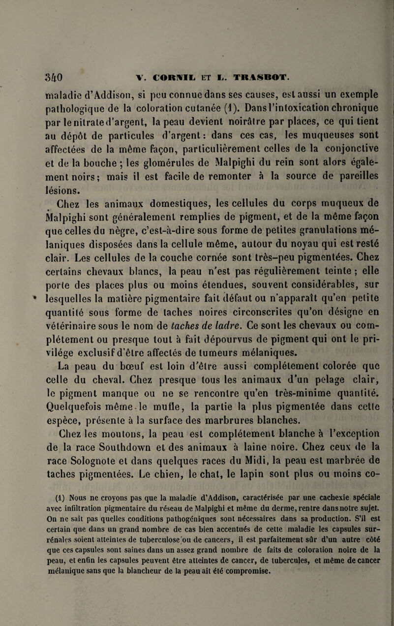 maladie d’ Addison, si peu connue dans ses causes, eslaussi un exemple palhologique de la coloration cutanee (1). Dansl’intoxication chronique par lenitraled’argent, la peau devient noirllre par places, ce qui tient au dep6t de particules d’argent: dans ces cas, les muqueuses sont affectees de la m6me fagon, particulierement celles de la conjonctive et de la bouche ; les glomerules de Malpighi du rein sont alors egale- mentnoirs; mais il est facile de remonter a la source de pareilles lesions. Chez les animaux domestiques, les cellules du corps muqueux de • Malpighi sont generalement remplies de pigment, et de la m£me fagon que celles du negre, c’est-a-dire sous forme de petites granulations me- laniques disposees dans la cellule m£me, autour du noyau qui est reste clair. Les cellules de la couche cornee sont tres-peu pigment^es. Chez certains chevaux blancs, la peau n'est pas regulierement teinte ; elle porte des places plus ou moins etendues, souvent considerables, sur lesquelles la matiere pigmentaire fait defaut ou n’apparait qu’en petite quantile sous forme de taches noires circonscrites qu’on designe en veterinaire sous le nom de taches de ladre. Ce sont les chevaux ou com- pletement ou presque tout a fait depourvus de pigment qui ont le pri¬ vilege exclusif d’etre affecles de tumeurs melaniques. La peau du boeuf est loin d'etre aussi complelement coloree que celle du cheval. Chez presque tous les animaux d’un pelage clair, le pigment manque ou ne se rencontre qu’en tres-minime quantile. Quelquefois m£me le mulle, la partie la plus pigmentee dans cette espece, presenle a la surface des marbrures blanches. Chez les moutons, la peau est completement blanche a Texception de la race Southdown et des animaux a laine noire. Chez ceux de la race Solognote et dans quelques races du Midi, la peau est marbree de taches pigmenlees. Le chien, le chat, le lapin sont plus ou moins co- (1) Nous ne croyons pas que la maladie d’Addison, caract£ris£e par une cachexie sp^ciale avec infiltration pigmentaire du reseau de Malpighi et m6me du derme,rentre dansnotre sujet. On ne sait pas quelles conditions pathogdniques sont ndcessaires dans sa production. S’il est certain que dans un grand nombre de cas bien accentuds de cette maladie les capsules sur- rlnales soient atteinles de tuberculose ou de cancers, il est parfaitement stir d’un autre cot^ que ces capsules sont saines dans un assez grand nombre de faits de coloration noire de la peau, et enfin les capsules peuvent 6tre atleintes de cancer, de tubercules, et mtime de cancer m&anique sans que la blancheur de la peau ait £t£ compromise.