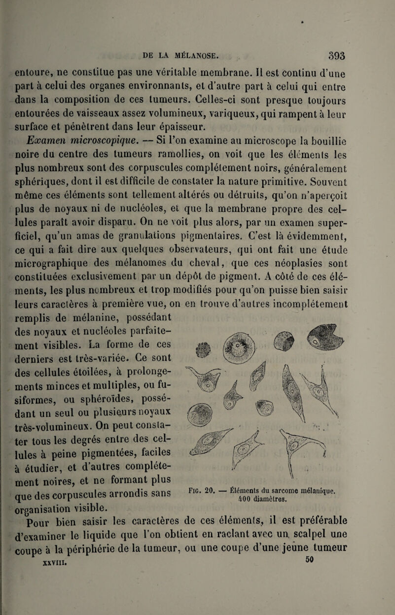 entoure, ne constilue pas une veritable membrane. II est continu d’une part a celui des organes environnanls, el d’autre part a celui qui entre dans la composition de ces tumeurs. Celles-ci sont presque toujours entourees de vaisseaux assez volumineux, variqueux, qui rampent a leur surface et penelrent dans leur epaisseur. Examen microscopique. — Si Ton examine au microscope la bouillie noire du centre des tumeurs ramollies, on voit que les elements les plus nombreux sont des corpuscules completement noirs, generalement spheriques, dont ii est difficile de constater la nature primitive. Souvent m£me ces elements sont tellemenl alteres ou detruits, qu’on n'apergoit plus de noyaux ni de nucleoles, et que la membrane propre des cel¬ lules paralt avoir disparu. On ne voit plus alors, par mi examen super- ficiel, qu’un amas de granulations pigmentaires. CTest la evidemment, ce qui a fait dire aux quelques observateurs, qui ont fait une etude micrographique des melanomes du cheval, que ces neoplasies sont constitutes exclusivement par un dep6t de pigment. A cote de ces ele¬ ments, les plus nombreux et trop modifies pour qu’on puisse bien saisir leurs caracieres a premiere vue, on en Irouve d’aulres incompletement remplis de rnelanine, possedant des noyaux et nucleoles parfaite- ment visibles. La forme de ces derniers est tres-variee. Ge sont des cellules etoilees, a prolonge- ments minces et multiples, ou fu- siformes, ou spheroides, posse¬ dant un seul ou plusieurs noyaux tr&s-voluraineux. On peut consta¬ ter tous les degres entre des cel¬ lules a peine pigmentees, faciles a etudier, et d’autres complete¬ ment noires, et ne formant plus que des corpuscules arrondis sans organisation visible. Pour bien saisir les caracteres de ces elements, il est preferable d’examiner le liquide que Von obtient en raclant avec unv scalpel une coupe a la peripherie de la tumeur, ou une coupe d’une jeime tumeur XXVIII. 50 Fig. 20. Elements du sarcome melanique. 400 diametres.