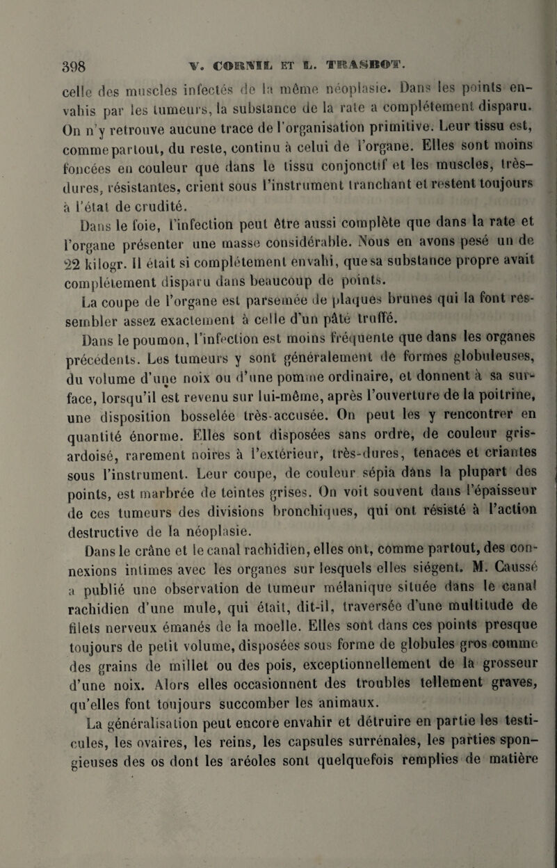 celle des muscles infectes de la meme neopiasie. Dans les points en~ vahis par les tumeurs, la substance de la rate a completement disparu. On n’y retrouve aucune trace de Torganisation primitive. Leur tissu est, commepartout, du reste, continu a celui de Torgane. Elies sont moins foncees en couleur que dans le tissu conjoncUf et les muscles, tres- dures, resistantes, orient sous l’instrument tranchant el restent ton jours a bet at de erudite. Dans le foie, I’infection peut 6tre aussi complete que dans la rate et i’organe presenter une masse considerable. Nous en avons pese un de 22 kilogr. 11 etait si completement envahi, quesa substance propre avait completement disparu dans beaucoup de points. La coupe de Torgane est parsemee de plaques brunes qui la font res- sembler assez exactement a celle d un p&te truffe. Dans le poumon, Tinfection est moins frequente que dans les organes precedents. Les tumeurs y sont getteralement de formes globuleuses, du volume d’une noix ou d’une pomme ordinaire, et donnent a sa sur¬ face, lorsqu’il est revenu sur Iui-m6me, apres l’ouverture de la poitrine, une disposition bosselee tresaccusee. On peut les y rencontrer en quantile enorme. Elies sont disposees sans ordre, de couleur gris- ardoise, rarement noires a 1’exterieur, tres-dures, tenaces et criantes sous l’instrument. Leur coupe, de couleur sepia dans la plupart des points, est marbree de teintes grises. On voit souvent dans I’epaisseur de ces tumeurs des divisions bronchiques, qui ont resiste a Taction destructive de la neopiasie. Dans le crane et le canal rachidien, elles ont, comme partout, des con¬ nexions intimes avec les organes sur lesquels elles siegent. M. Causse a public une observation de tumeur melanique situee dans le canal rachidien d’une mule, qui etait, dit-il, traversee d’une multitude de filets nerveux emanes de la moelle. Elles sont dans ces points presque toujours de petit volume, disposees sous forme de globules gros comme des grains de millet ou des pois, exceptionnellement de la grosseur d’une noix. Alors elles occasionnent des troubles tellement graves, qu’elles font toujours succomber les animaux. La generalisation peut encore envahir et detruire en partie les testi- cules, les ovaires, les reins, les capsules surrenales, les parties spon- gieuses des os dont les areoles sont quelquefois remplies de matiere