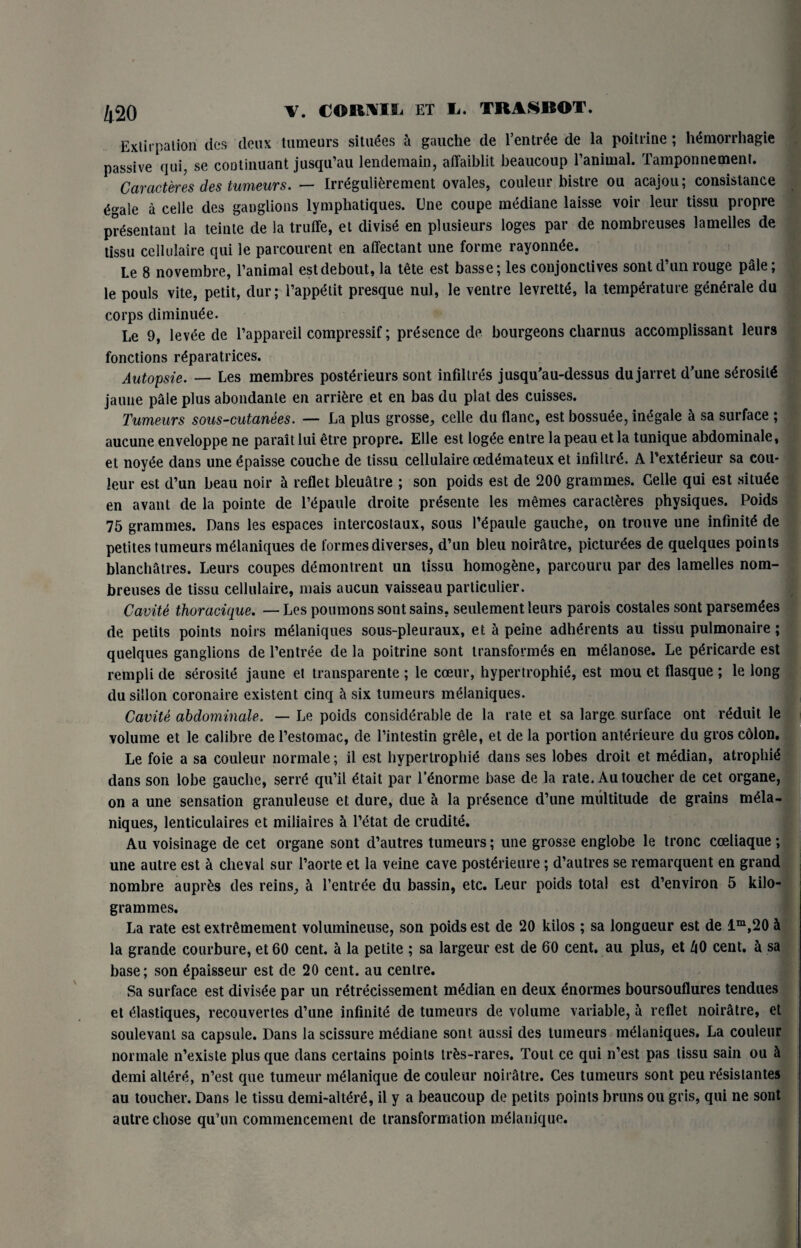 /,20 V. CORNU. ET C. TRASBOT. Extirpation des deux tumeurs situees & gauche de l'entrCe de la poitrine; hemorrhagic passive qui, se continuant jusqu’au lendemain, affaiblit beaucoup l’animal. Tamponnement. Caracteres des tumeurs. — Irreguli&rement ovales, couleur bistre ou acajou; consistance e^ale a celle des ganglions lymphatiques. Lne coupe mediane laisse voir leur tissu propre prCsentant la teinte de la truffe, et divise en plusieurs loges par de nombreuses lamelles de tissu ccllulaire qui le parcourent en affectant une forme rayonnee. Le 8 novembre, l’animal estdebout, la tete est basse; les conjonctives sont d’unrouge pale; le pouls vite, petit, dur; l’appetit presque nul, le ventre levrette, la temperature generale du corps diminuee. Le 9, levee de l’appareil compressif; presence de bourgeons charnus accomplissant leurs fonctions reparatrices. Autopsie. — Les membres posterieurs sont infdtres jusqu’au-dessus du jarret d’une serosite jauue pale plus abondanle en arriCre et en bas du plat des cuisses. Tumeurs sous-cutanees. — La plus grosse, celle du flanc, est bossuCe, inegale & sa surface ; aucune enveloppe ne parait lui etre propre. Elle est logee entre la peau et la tunique abdominale, et noyee dans une epaisse couche de tissu cellulaire oedemateux et infiltre. A DextCrieur sa cou- leur est d’un beau noir 5 reflet bleuatre ; son poids est de 200 grammes. Celle qui est situCe en avant de la pointe de l’Cpaule clroite prCsente les memes caracteres physiques. Poids 75 grammes. Dans les espaces intercostaux, sous l’epaule gauche, on trouve une infinite de petites tumeurs melaniques de formes diverses, d’un bleu noiratre, pictures de quelques points blanchatres. Leurs coupes demontrent un tissu homogene, parcouru par des lamelles nom¬ breuses de tissu cellulaire, mais aucun vaisseau parliculier. Cavite thoracique. — Les poumons sont sains, seulement leurs parois costales sont parsemCes de pelits points noirs melaniques sous-pleuraux, et a peine adherents au tissu pulmonaire; quelques ganglions de l’entree de la poitrine sont transformes en mClanose. Le pCricarde est rempli de serosite jaune el transparente ; le coeur, hypertrophic, est mou et flasque ; le long dusillon coronaire existent cinq h six tumeurs melaniques. Cavite abdominale. — Le poids considerable de la rate et sa large surface ont rCduit le volume et le calibre de l’estomac, de l’intestin grele, et de la portion antCrieure du gros cdlon. Le foie a sa couleur normale; il est hypertrophic dans ses lobes droit et median, atrophiC dans son lobe gauche, serrC qu’il Ctait par l’Cnorme base de la rate. Au toucher de cet organe, on a une sensation granuleuse et dure, due a la presence d’une multitude de grains mela¬ niques, lenticulaires et miliaires 5 l’Ctat de erudite. Au voisinage de cet organe sont d’autres tumeurs; une grosse englobe le tronc coeliaque; une autre est h cheval sur l’aorte et la veine cave posterieure; d’autres se remarquent en grand nombre auprCs des reins, a I’entrCe du bassin, etc. Leur poids total est d’environ 5 kilo¬ grammes. La rate est extrCmement volumineuse, son poids est de 20 kilos ; sa longueur est de lm,20 h la grande courbure, et 60 cent, a la petite ; sa largeur est de 60 cent, au plus, et Z|0 cent, h sa base; son epaisseur est de 20 cent, au centre. Sa surface est divisCe par un retrCcissement median en deux Cnormes boursouflures tendues et elastiques, recouvertes d’une infinite de tumeurs de volume variable, 5 reflet noiratre, et soulevanl sa capsule. Dans la scissure mCdiane sont aussi des tumeurs melaniques. La couleur normale n’existe plusque dans certains points trfcs-rares. Tout ce qui n’est pas tissu sain ou & demi altCrC, n’est que tumeur mClanique de couleur noiratre. Ces tumeurs sont peu rCsistantes au toucher. Dans le tissu demi-altCre, il y a beaucoup de petits points bruns ou gris, qui ne sont autre chose qu’un commencement de transformation meianique.