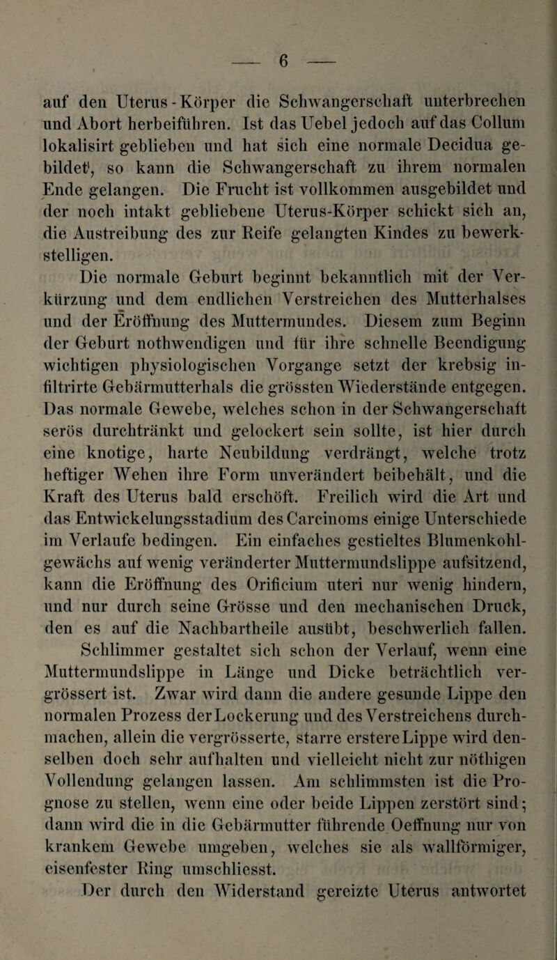 auf den Uterus-Körper die Schwangerschaft unterbrechen und Abort herbeiführen. Ist das Uebel jedoch auf das Collum lokalisirt geblieben und hat sich eine normale Decidua ge¬ bildet', so kann die Schwangerschaft zu ihrem normalen Ende gelangen. Die Frucht ist vollkommen ausgebildet und der noch intakt gebliebene Uterus-Körper schickt sich an, die Austreibung des zur Reife gelangten Kindes zu bewerk¬ stelligen. Die normale Geburt beginnt bekanntlich mit der Ver¬ kürzung und dem endlichen Verstreichen des Mutterhalses und der Eröffnung des Muttermundes. Diesem zum Beginn der Geburt nothwendigen und für ihre schnelle Beendigung wichtigen physiologischen Vorgänge setzt der krebsig in- filtrirte Gebärmutterhals die grössten Wiederstände entgegen. Das normale Gewebe, welches schon in der Schwangerschaft serös durchtränkt und gelockert sein sollte, ist hier durch eine knotige, harte Neubildung verdrängt, welche trotz heftiger Wehen ihre Form unverändert beibehält, und die Kraft des Uterus bald erschöft. Freilich wird die Art und das Entwickelungsstadium des Carcinoms einige Unterschiede im Verlaufe bedingen. Ein einfaches gestieltes Blumenkohl¬ gewächs auf wenig veränderter Muttermundslippe aufsitzend, kann die Eröffnung des Orificium uteri nur wenig hindern, und nur durch seine Grösse und den mechanischen Druck, den es auf die Nachbartheile ausübt, beschwerlich fallen. Schlimmer gestaltet sich schon der Verlauf, wenn eine Muttermundslippe in Länge und Dicke beträchtlich ver- grössert ist. Zwar wird dann die andere gesunde Lippe den normalen Prozess der Lockerung und des Verstreichens durch¬ machen, allein die vergrösserte, starre erstere Lippe wird den¬ selben doch sehr aufhalten und vielleicht nicht zur nöthigen Vollendung gelangen lassen. Am schlimmsten ist die Pro¬ gnose zu stellen, wenn eine oder beide Lippen zerstört sind; dann wird die in die Gebärmutter führende Oeffnung nur von krankem Gewebe umgeben, welches sie als wallförmiger, eisenfester Ring umschliesst. Der durch den Widerstand gereizte Uterus antwortet