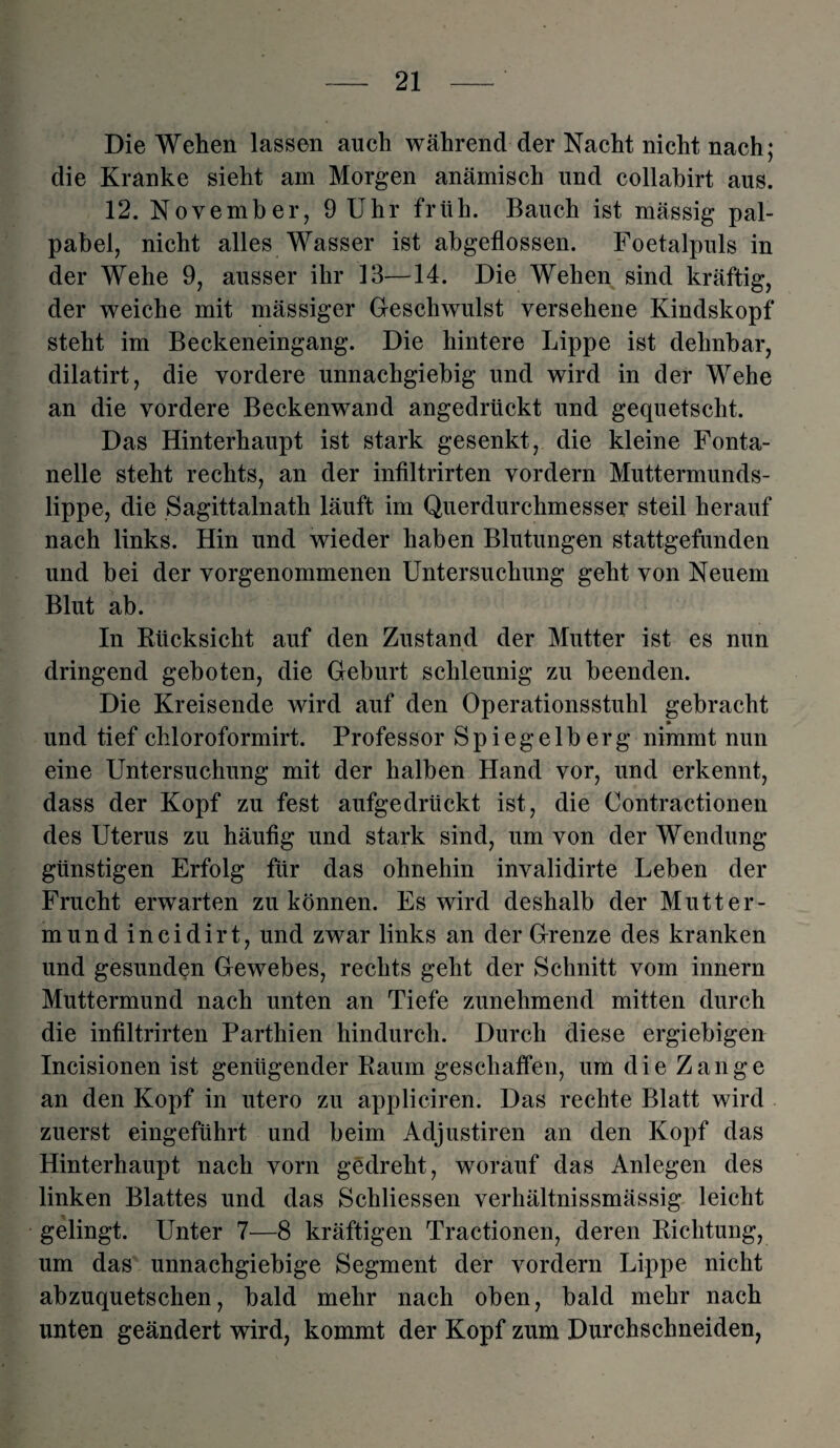 Die Wehen lassen auch während der Nacht nicht nach; die Kranke sieht am Morgen anämisch und collabirt aus. 12. November, 9 Uhr früh. Bauch ist mässig pal- pabel, nicht alles Wasser ist abgeflossen. Foetalpuls in der Wehe 9, ausser ihr 13—14. Die Wehen sind kräftig, der weiche mit mässiger Geschwulst versehene Kindskopf steht im Beckeneingang. Die hintere Lippe ist dehnbar, dilatirt, die vordere unnachgiebig und wird in der Wehe an die vordere Beckenwand angedrückt und gequetscht. Das Hinterhaupt ist stark gesenkt, die kleine Fonta¬ nelle steht rechts, an der inflltrirten vordem Muttermunds¬ lippe, die Sagittalnath läuft im Querdurchmesser steil herauf nach links. Hin und wieder haben Blutungen stattgefunden und bei der vorgenommenen Untersuchung geht von Neuem Blut ab. In Rücksicht auf den Zustand der Mutter ist es nun dringend geboten, die Geburt schleunig zu beenden. Die Kreisende wird auf den Operationsstuhl gebracht » und tief cliloroformirt. Professor Spiegelberg nimmt nun eine Untersuchung mit der halben Hand vor, und erkennt, dass der Kopf zu fest aufgedrückt ist, die Contractionen des Uterus zu häufig und stark sind, um von der Wendung günstigen Erfolg für das ohnehin invalidirte Leben der Frucht erwarten zu können. Es wird deshalb der Mutter¬ mund incidirt, und zwar links an der Grenze des kranken und gesunden Gewebes, rechts geht der Schnitt vom innern Muttermund nach unten an Tiefe zunehmend mitten durch die inflltrirten Parthien hindurch. Durch diese ergiebigen Incisionen ist genügender Raum geschaffen, um die Zange an den Kopf in utero zu appliciren. Das rechte Blatt wird zuerst eingeführt und beim Adjustiren an den Kopf das Hinterhaupt nach vorn gedreht, worauf das Anlegen des linken Blattes und das Schliessen verhältnissmässig leicht gelingt. Unter 7—8 kräftigen Tractionen, deren Richtung, um das unnachgiebige Segment der vordem Lippe nicht abzuquetschen, bald mehr nach oben, bald mehr nach unten geändert wird, kommt der Kopf zum Durchschneiden,