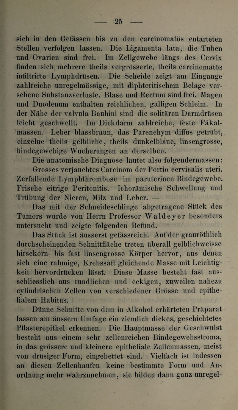 sich in den Gefässen bis zu den carcinomatös entarteten Stellen verfolgen lassen. Die Ligamenta lata, die Tuben und Ovarien sind frei. Im Zellgewebe längs des Cervix finden sieb mehrere theils vergrößerte, theils carcinomatös infiltrirte Lymphdrüsen. Die Scheide zeigt am Eingänge zahlreiche unregelmässige, mit diphteritisehern Belage ver¬ sehene Substanzverluste. Blase und Rectum sind frei. Magen und Duodenum enthalten reichlichen, galligen Schleim. In der Nähe der valvula Bauhini sind die solitären Darmdrüsen leicht geschwellt. Im Dickdarm zahlreiche, feste Fäkal¬ massen. Leber blassbraun, das Parenchym diffus getrübt, einzelne theils gelbliche, theils dunkelblaue, linsengrosse, bindegewebige Wucherungen an derselben. Die anatomische Diagnose lautet also folgendermassen: Grosses verjauchtes Carcinom der Portio cervicalis uteri. Zerfallende Lymphthrombose im paruterinen Bindegewebe. Frische eitrige Peritonitis. Ichorämische Schwellung und Trübung der Nieren, Milz und Leber. — Das mit der Schneideschlinge abgetragene Stück des Tumors wurde von Herrn Professor Waldeyer besonders untersucht und zeigte folgenden Befund. Das Stück ist äusserst gefässreich. Auf der grauröthlich durchscheinenden Schnittfläche treten überall gelblichweisse hirsekorn- bis fast linsengrosse Körper hervor, aus denen sich eine rahmige, Krebssaft gleichende Masse mit Leichtig¬ keit hervordrücken lässt. Diese Masse besteht fast aus¬ schliesslich aus rundlichen und eckigen, zuweilen nahezu cylindrischen Zellen von verschiedener Grösse und epithe¬ lialem Habitus. Dünne Schnitte von dem in Alkohol erhärteten Präparat lassen am äussern Umfage ein ziemlich dickes, geschichtetes Pflasterepithel erkennen. Die Hauptmasse der Geschwulst besteht aus einem sehr zellenreichen Bindegewebsstroma, in das grössere und kleinere epitheliale Zellenmassen, meist von drüsiger Form, eingebettet sind. Vielfach ist indessen an diesen Zellenhaufen keine bestimmte Form und An¬ ordnung mehr wahrzunehmen, sie bilden dann ganz unregei-