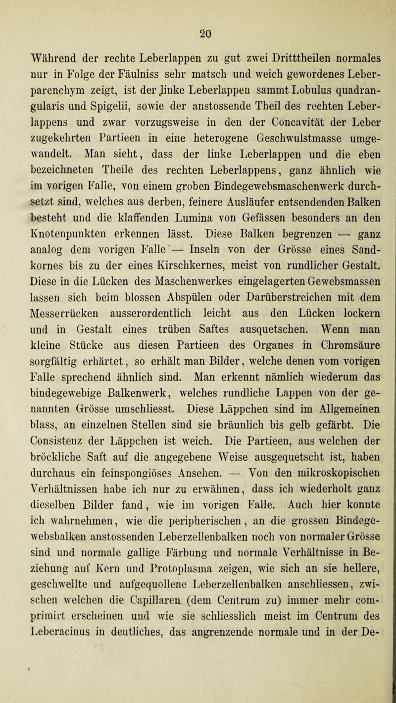 Während der rechte Leberlappen zu gut zwei Dritttheilen normales nur in Folge der Fäulniss sehr matsch und weich gewordenes Leber¬ parenchym zeigt, ist der Jinke Leberlappen sammt Lobulus quadran- gularis und Spigelii, sowie der anstossende Theil des rechten Leber¬ lappens und zwar vorzugsweise in den der Concavität der Leber zugekehrten Partieen in eine heterogene Geschwulstmasse umge¬ wandelt. Man sieht, dass der linke Leberlappen und die eben bezeichneten Theile des rechten Leberlappens, ganz ähnlich wie im vorigen Falle, von einem groben Bindegewebsmaschenwerk durch¬ setzt sind, welches aus derben, feinere Ausläufer entsendenden Balken besteht und die klaffenden Lumina von Gefässen besonders an den Knotenpunkten erkennen lässt. Diese Balken begrenzen — ganz analog dem vorigen Falle — Inseln von der Grösse eines Sand¬ kornes bis zu der eines Kirschkernes, meist von rundlicher Gestalt. Diese in die Lücken des Maschenwerkes eingelagerten Gewebsmassen lassen sich beim blossen Abspülen oder Darüberstreichen mit dem Messerrücken ausserordentlich leicht aus den Lücken lockern und in Gestalt eines trüben Saftes ausquetschen. Wenn man kleine Stücke aus diesen Partieen des Organes in Chromsäure sorgfältig erhärtet, so erhält man Bilder, welche denen vom vorigen Falle sprechend ähnlich sind. Man erkennt nämlich wiederum das bindegewebige Balkenwerk, welches rundliche Lappen von der ge¬ nannten Grösse umschliesst. Diese Läppchen sind im Allgemeinen blass, an einzelnen Stellen sind sie bräunlich bis gelb gefärbt. Die Consistenz der Läppchen ist weich. Die Partieen, aus welchen der bröckliche Saft auf die angegebene Weise ausgequetscht ist, haben durchaus ein feinspongiöses Ansehen. — Von den mikroskopischen Verhältnissen habe ich nur zu erwähnen, dass ich wiederholt ganz dieselben Bilder fand, wie im vorigen Falle. Auch hier konnte ich wahrnehmen, wie die peripherischen, an die grossen Bindege- websbalken anstossenden Leberzellenbalken noch von normaler Grösse sind und normale gallige Färbung und normale Verhältnisse in Be¬ ziehung auf Kern und Protoplasma zeigen, wie sich an sie hellere, geschwellte und aufgequollene Leberzellenbalken anschliessen, zwi¬ schen welchen die Capillaren (dem Centrum zu) immer mehr com- primirt erscheinen und wie sie schliesslich meist im Centrum des Leberacinus in deutliches, das angrenzende normale und in der De- >