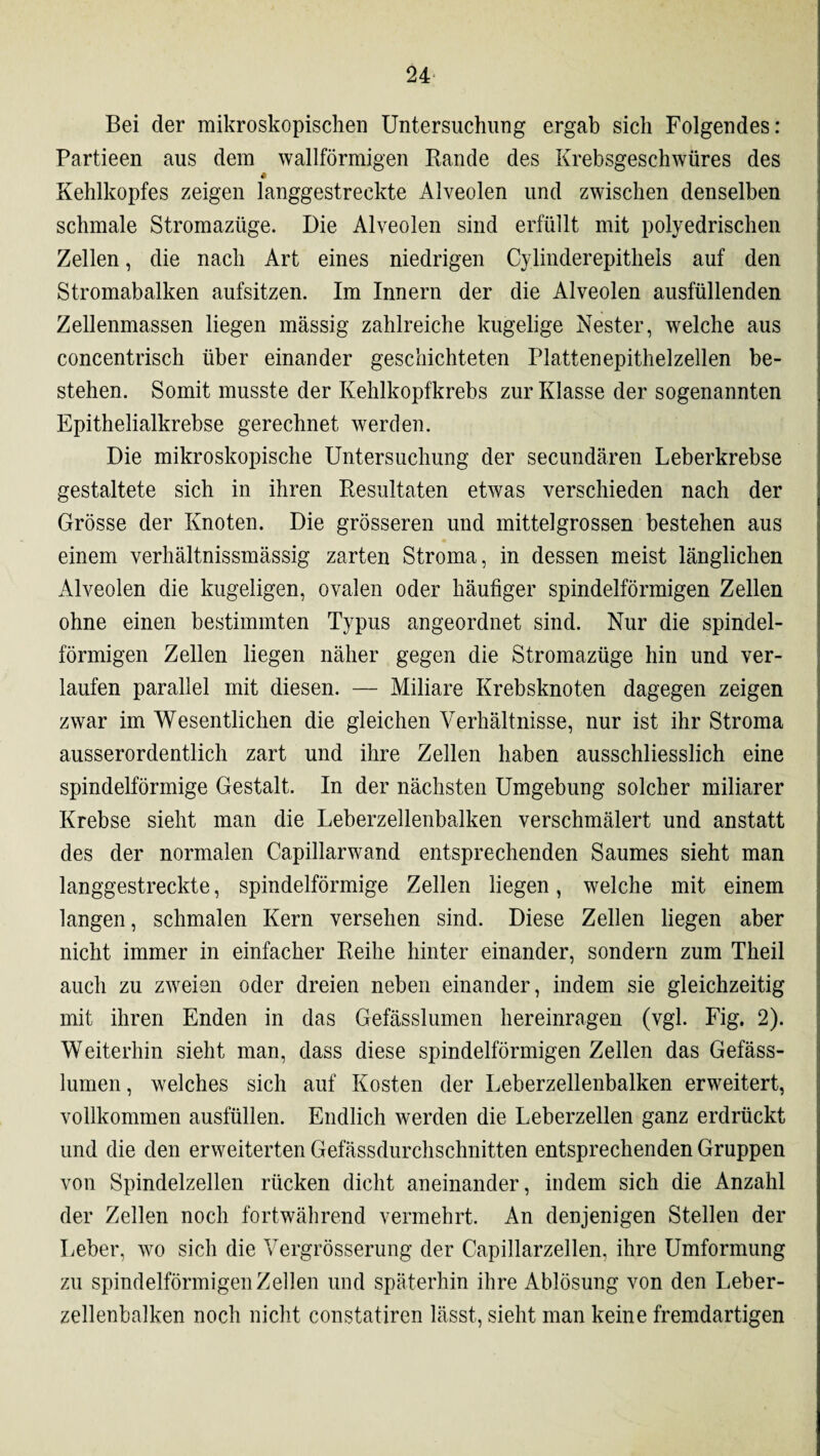 Bei der mikroskopischen Untersuchung ergab sich Folgendes: Partieen aus dem wallförmigen Rande des Krebsgeschwüres des * Kehlkopfes zeigen langgestreckte Alveolen und zwischen denselben schmale Stromazüge. Die Alveolen sind erfüllt mit polyedrischen Zellen, die nach Art eines niedrigen Cylinderepitheis auf den Stromabalken aufsitzen. Im Innern der die Alveolen ausfüllenden Zellenmassen liegen massig zahlreiche kugelige Nester, welche aus concentrisch über einander geschichteten Plattenepithelzellen be¬ stehen. Somit musste der Kehlkopfkrebs zur Klasse der sogenannten Epithelialkrebse gerechnet werden. Die mikroskopische Untersuchung der secundären Leberkrebse gestaltete sich in ihren Resultaten etwas verschieden nach der Grösse der Knoten. Die grösseren und mittelgrossen bestehen aus einem verhältnissmässig zarten Stroma, in dessen meist länglichen Alveolen die kugeligen, ovalen oder häufiger spindelförmigen Zellen ohne einen bestimmten Typus angeordnet sind. Nur die spindel¬ förmigen Zellen liegen näher gegen die Stromazüge hin und ver¬ laufen parallel mit diesen. — Miliare Krebsknoten dagegen zeigen zwar im Wesentlichen die gleichen Verhältnisse, nur ist ihr Stroma ausserordentlich zart und ihre Zellen haben ausschliesslich eine spindelförmige Gestalt. In der nächsten Umgebung solcher miliarer Krebse sieht man die Leberzellenbalken verschmälert und anstatt des der normalen Capillarwand entsprechenden Saumes sieht man langgestreckte, spindelförmige Zellen liegen, welche mit einem langen, schmalen Kern versehen sind. Diese Zellen liegen aber nicht immer in einfacher Reihe hinter einander, sondern zum Theil auch zu zweien oder dreien neben einander, indem sie gleichzeitig mit ihren Enden in das Gefässlumen hereinragen (vgl. Fig. 2). Weiterhin sieht man, dass diese spindelförmigen Zellen das Gefäss¬ lumen, welches sich auf Kosten der Leberzellenbalken erweitert, vollkommen ausfüllen. Endlich werden die Leberzellen ganz erdrückt und die den erweiterten Gefässdurchschnitten entsprechenden Gruppen von Spindelzellen rücken dicht aneinander, indem sich die Anzahl der Zellen noch fortwährend vermehrt. An denjenigen Stellen der Leber, wo sich die Vergrösserung der Capillarzellen, ihre Umformung zu spindelförmigen Zellen und späterhin ihre Ablösung von den Leber¬ zellenbalken noch nicht constatiren lässt, sieht man keine fremdartigen