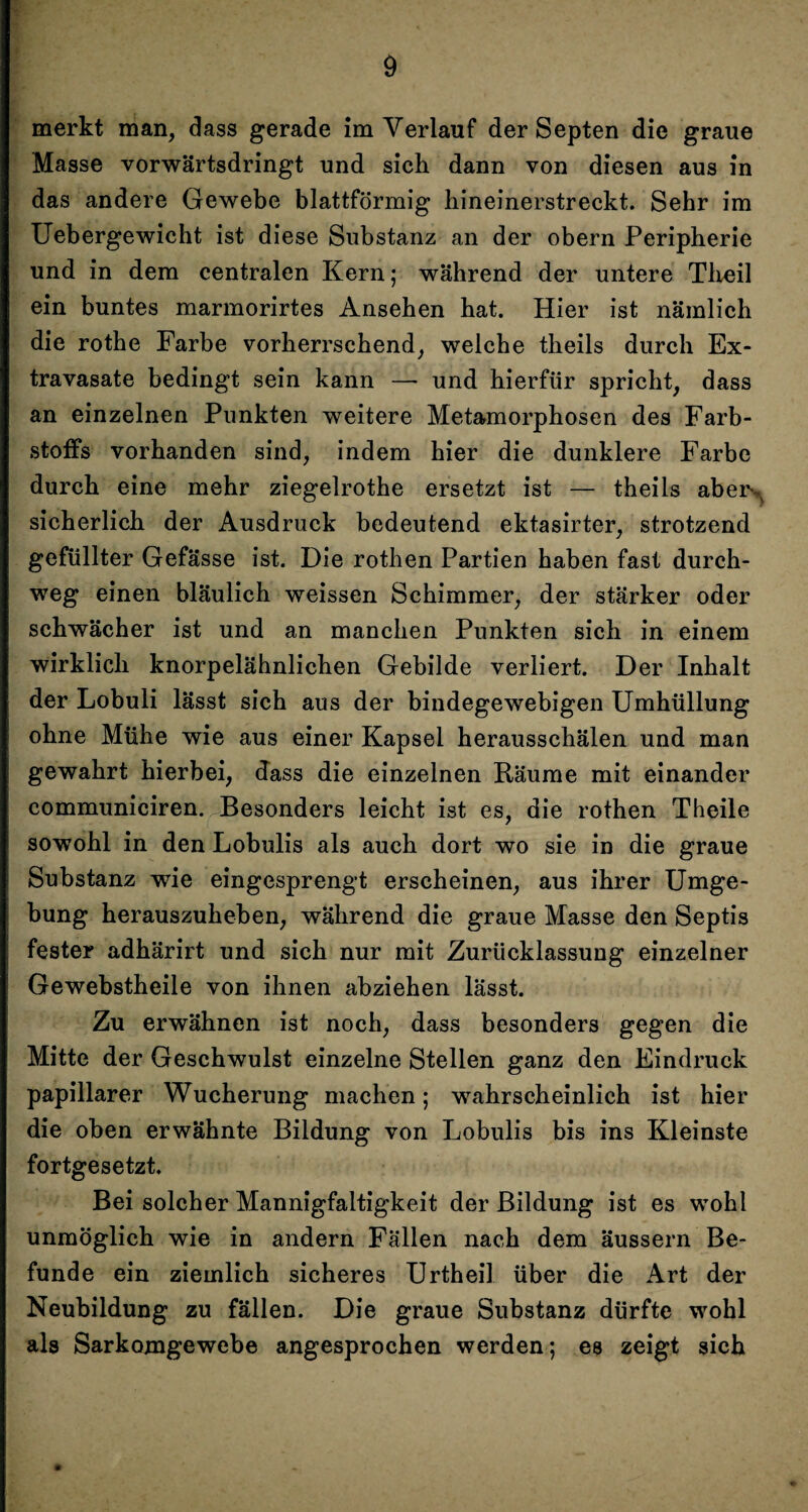 merkt man, dass gerade im Verlauf der Septen die graue Masse vorwärtsdringt und sich dann von diesen aus in das andere Gewebe blattförmig hineinerstreckt. Sehr im Uebergewicht ist diese Substanz an der obern Peripherie und in dem centralen Kern; während der untere Theil ein buntes marmorirtes Ansehen hat. Hier ist nämlich die rothe Farbe vorherrschend, welche theils durch Ex¬ travasate bedingt sein kann — und hierfür spricht, dass an einzelnen Punkten weitere Metamorphosen des Farb¬ stoffs vorhanden sind, indem hier die dunklere Farbe durch eine mehr ziegelrothe ersetzt ist — theils abei\ sicherlich der Ausdruck bedeutend ektasirter, strotzend gefüllter Gefässe ist. Die rothen Partien haben fast durch¬ weg einen bläulich weissen Schimmer, der stärker oder schwächer ist und an manchen Punkten sich in einem wirklich knorpelähnlichen Gebilde verliert. Der Inhalt der Lobuli lässt sich aus der bindegewebigen Umhüllung ohne Mühe wie aus einer Kapsel herausschälen und man gewahrt hierbei, dass die einzelnen Räume mit einander communiciren. Besonders leicht ist es, die rothen Theile sowohl in den Lobulis als auch dort wo sie in die graue Substanz wie eingesprengt erscheinen, aus ihrer Umge¬ bung herauszuheben, während die graue Masse den Septis fester adhärirt und sich nur mit Zurücklassung einzelner Gewebstheile von ihnen abziehen lässt. Zu erwähnen ist noch, dass besonders gegen die Mitte der Geschwulst einzelne Stellen ganz den Eindruck papillärer Wucherung machen; wahrscheinlich ist hier die oben erwähnte Bildung von Lobulis bis ins Kleinste fortgesetzt. Bei solcher Mannigfaltigkeit der Bildung ist es wohl unmöglich wie in andern Fällen nach dem äussern Be¬ funde ein ziemlich sicheres Urtheil über die Art der Neubildung zu fällen. Die graue Substanz dürfte wohl als Sarkomgewebe angesprochen werden; es zeigt sich