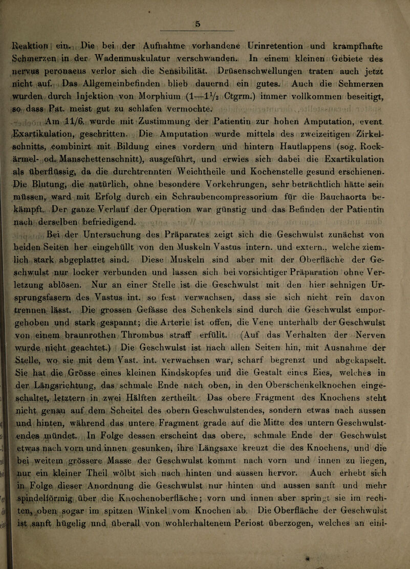 Reaktion ein. Die bei der Aufnahme vorhandene Urinretention und krampfhafte Schmerzen in der Wadenmuskulatur verschwanden. In einem kleinen Gebiete des nervus peronaeus verlor sich die Sensibilität. Drüsenschwrellungen traten auch jetzt nicht auf. Das Allgemeinbefinden blieb dauernd ein gutes. Auch die Schmerzen wurden durch Injektion von Morphium (1—1Y2 Ctgrm.) immer vollkommen beseitigt, so dass Pat. meist gut zu schlafen vermochte. Am 11/6. wurde mit Zustimmung der Patientin zur hohen Amputation, event. Exartikulation, geschritten. Die Amputation wurde mittels des zweizeitigen Zirkei- schnitts, combinirt mit Bildung eines vordem und hintern Hautlappens (sog. Roek- ärmel- od. Manschettenschnitt), ausgeführt, und erwies sich dabei die Exartikulation als überflüssig, da die durchtrennten Weichtheile und Kochenstelle gesund erschienen. Die Blutung, die natürlich, ohne besondere Vorkehrungen, sehr beträchtlich hätte sein müssen, ward mit Erfolg durch ein Schraubencompressorium für die Bauchaorta be¬ kämpft. Der ganze Verlauf der Operation war günstig und das Befinden der Patientin nach derselben befriedigend. Bei der Untersuchung des Präparates zeigt sich die Geschwulst zunächst von beiden Seiten her eingehüllt von den Muskeln Vastus intern, und extern., welche ziem¬ lich stark abgeplattet sind. Diese Muskeln sind aber mit der Oberfläche der Ge- I schwulst nur locker verbunden und lassen sich bei vorsichtiger Präparation ohne Ver¬ letzung ablösen. Nur an einer Stelle ist die Geschwulst mit den hier sehnigen Ur¬ sprungsfasern des Vastus int. so fest verwachsen, dass sie sich nicht rein davon trennen lässt. Die grossen Gefässe des Schenkels sind durch die Geschwulst empor¬ gehoben und stark gespannt; die Arterie ist offen, die Vene unterhalb der Geschwulst von einem braunrothen Thrombus straff erfüllt. (Auf das Verhalten der Nerven wurde nicht geachtet.) Die Geschwulst ist nach allen Seiten hin, mit Ausnahme der Stelle, wo sie mit dem Vast. int. verwachsen war, scharf begrenzt und abgekapselt. Sie hat die Grösse eines kleinen Kindskopfes und die Gestalt eines Eies, welches in der Längsrichtung, das schmale Ende nach oben, in den Oberschenkelknochen einge¬ schaltet, letztem in zwei Hälften zertheilt. Das obere Fragment des Knochens steht nicht genau auf dem Scheitel des obern Geschwulstendes, sondern etwas nach aussen und hinten, während das untere Fragment grade auf die Mitte des untern Geschwulst¬ endes mündet. In Folge dessen erscheint das obere, schmale Ende der Geschwulst etwas nach vorn und innen gesunken, ihre Längsaxe kreuzt die des Knochens, und die bei weitem grössere Masse der Geschwulst kommt nach vorn und innen zu liegen, nur ein kleiner Theil wölbt sich nach hinten und aussen hervor. Auch erhebt sich in Folge dieser Anordnung die Geschwulst nur hinten und aussen sanft und mehr spindelförmig über die Knochenoberfläche; vorn und innen aber springt sie im rech¬ ten, oben sogar im spitzen Winkel vom Knochen ab. Die Oberfläche der Geschwulst / 1 ^ ist sanft hügelig und überall von wohlerhaltenem Periost überzogen, welches an eini-