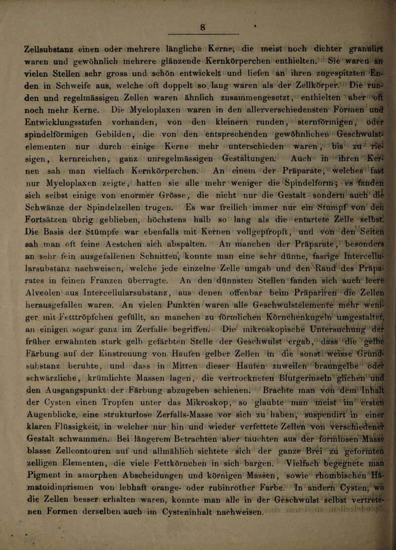 Zellsubstanz einen oder mehrere längliche Kerne, die meist noch dichter granulirt waren und gewöhnlich mehrere glänzende Kernkörperchen enthielten. Sie waren an vielen Stellen sehr gross und schön entwickelt und liefen an ihren zugespitzten En¬ den in Schweife aus, welche oft doppelt so. lang waren als der Zellkörper. Die run¬ den und regelmässigen Zellen waren ähnlich zusammengesetzt, enthielten aber oft noch mehr Kerne. Die Myeloplaxen waren in den allerverschiedensten Formen und Entwicklungsstufen vorhanden, von den kleinern runden, sternförmigen, oder spindelförmigen Gebilden, die von den entsprechenden gewöhnlichen Geschwulst- elementen nur durch einige Kerne mehr unterschieden waren , bis zu rie* sigen, kernreichen, ganz unregelmässigen Gestaltungen. Auch in ihren Ker¬ nen sah man vielfach Kernkörperchen. An einem der Präparate, welches fast nur Myeloplaxen zeigte, hatten sie alle mehr weniger die Spindelform ] es fanden sich selbst einige von enormer Grösse, die nicht nur die Gestalt sondern auch die Schwänze der Spindelzellen trugen. Es war freilich immer nur ein Stumpf von deh Fortsätzen übrig geblieben, höchstens halb so lang als die entartete Zelle selbst. Die Basis der Stümpfe war ebenfalls mit Kernen vollgepfropft, und von den Seiten sah man oft feine Aestchen sich abspalten. An manchen der Präparate, besonders an sehr fein ausgefallenen Schnitten, konnte man eine sehr dünne, fasrige Intercellu¬ larsubstanz nachweisen, welche jede einzelne Zelle umgab und den Rand des Präpa¬ rates in feinen Franzen überragte. An den dünnsten Stellen fanden sich auch leere Alveolen aus Intercellularsubstanz, aus denen offenbar beim Präpariren die Zellen herausgefallen waren. An vielen Punkten waren alle Geschwulstelemente möhr weni¬ ger mit Fetttröpfchen gefüllt, an manchen zu förmlichen Körnchenkugeln umgestaltet, an einigen sogar ganz im Zerfalle begriffen. Die mikroskopische Untersuchung der früher erwähnten stark gelb gefärbten Stelle der Geschwulst ergab, dass die gelbe Färbung auf der Einstreuung von Haufen gelber Zellen in die sonst weisse Grund¬ substanz beruhte, und dass in Mitten dieser Haufen zuweilen braüngelbe odef schwärzliche, krümlichte Massen lagen, die vertrockneten Blutgerinseln glichen und den Ausgangspunkt der Färbung abzugeben schienen. Brachte man von dem Inhalt der Cysten einen Tropfen unter das Mikroskop, so glaubte man meist im ersten Augenblicke, eine strukturlose Zerfalls-Masse vor sich zu haben, suspendirt in einer klaren Flüssigkeit, in welcher nur hin und wieder verfettete Zellen von verschiedene^ Gestalt schwammen. Bei längerem Betrachten aber tauchten aus der formlosen Masse blasse Zellcontouren auf und allmählich sichtete sich der ganze Brei zu geformten zelligen Elementen, die viele Fettkörnchen in sich bargen. Vielfach begegnete man Pigment in amorphen Abscheidungen und körnigen Massen, sowie rhombischen Hä¬ matoidinprismen von lebhaft orange- oder rubinrother Farbe. In andern Cysten, wo die Zellen besser erhalten wmren, konnte man alle in der Geschwulst selbst vertrete¬ nen Formen derselben auch im Cysteninhalt nachweisen. j