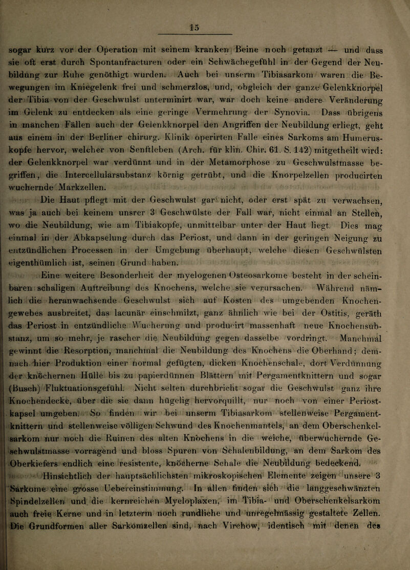 i dl sogar kurz vor der Operation mit seinem kranken Beine noch getanzt — und dass sie oft erst durch Spontanfracturen oder ein Schwächegefühl in der Gegend der Neu¬ bildung zur Ruhe genöthigt wurden. Auch bei unserm Tibiasarkom waren die Be¬ wegungen im Kniegelenk frei und schmerzlos, und, obgleich der ganze Gelenkknorpel der Tibia von der Geschwulst unterminirt war, war doch keine andere Veränderung im Gelenk zu entdecken als eine geringe Vermehrung der Synovia. Dass übrigens in manchen Fällen auch der Gelenkknorpel den Angriffen der Neubildung erliegt, geht aus einem in der Berliner chirurg. Klinik operirten Falle eines Sarkoms am Humerus¬ kopfe hervor, welcher von Senftleben (Areh. für klin. Chir. 61. S. 142) mitgetheilt wird: der Gelenkknorpel war verdünnt und in der Metamorphose zu Geschwulstmasse be¬ griffen, die Intercellularsubstanz körnig getrübt, und die Knorpelzellen producirten wuchernde Markzellen. Die Haut pflegt mit der Geschwulst gar nicht, oder erst spät zu verwachsen, was ja auch bei keinem unsrer 3 Geschwülste der Fall war, nicht einmal an Stellen, wo die Neubildung, wie am Tibiakopfe, unmittelbar unter der Haut liegt. Dies mag einmal in der Abkapselung durch das Periost, und dann in der geringen Neigung zu entzündlichen Processen in der Umgebung überhaupt, welche diesen Geschwülsten eigentümlich ist, seinen Grund haben. Eine weitere Besonderheit der myelogenen Osteosarkome besteht in der schein¬ baren schaligen Auftreibung des Knochens, welche sie verursachen. Während näm¬ lich die heranwachsende Geschwulst sich auf Kosten des umgebenden Knochen¬ gewebes ausbreitet, das lacunär einschmilzt, ganz ähnlich wie bei der Ostitis, geräth das Periost in entzündliche Wucherung und producirt massenhaft neue Ivnochensub- stanz, um so mehr, je rascher die Neubildung gegen dasselbe vordringt. Manchmal gewinnt die Resorption, manchmal die Neubildung des Knochens die Oberhand; dem¬ nach hier Produktion einer normal gefügten, dicken Knochenschale, dort Verdünnung der knöchernen Hülle bis zu papierdünnen Blättern mit Pergamentknittern und sogar (Busch) Fluktuationsgefühl. Nicht selten durchbricht sogar die Geschwulst ganz ihre Knochendecke, über die sie dann hügelig hervorquillt, nur noch von einer Periost¬ kapsel umgeben. So finden wir bei unserm Tibiasarkom stellenweise Pergament¬ knittern und stellenweise völligen Schwund des Knochenmantels, an dem Oberschenkel¬ sarkom nur noch die Ruinen des alten Knochens in die weiche, überwuchernde Ge¬ schwulstmasse vorragend und bloss Spuren von Schalenbildung, an dem Sarkom des Oberkiefers endlich eine resistente, knöcherne Schale die Neubildung bedeckend. ‘ Hinsichtlich der hauptsächlichsten mikroskopischen Elemente zeigen unsere 3 Sarkome eine grosse Uebereinstimrnung. In allen finden sich die langgeschwänzten Spindelzellen und die kernreichen Myeloplaxen, im Tibia- und Oberschenkelsarkom auch freie Kerne und in letzterm noch rundliche und unregelmässig gestaltete Zellen. Die Grundformen aller Sarkomzellen sind, nach Virehow, identisch mit denen des