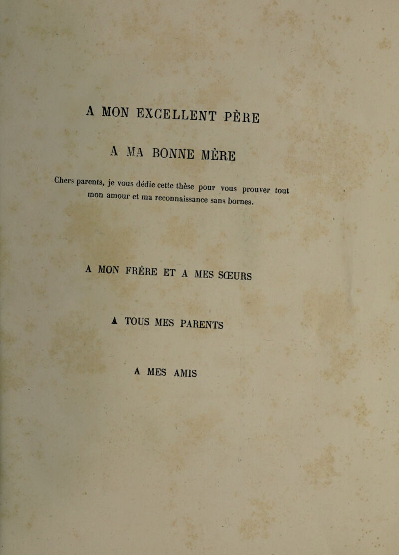 A MON EXCELLENT PÈRE A MA BONNE MÈRE Che, parents, je vous dédie cette thèse pour vous prouver tout mon amour et ma reconnaissance sans bornes. A MON FRÈRE ET A MES SŒURS A TOUS MES PARENTS A MES AMIS