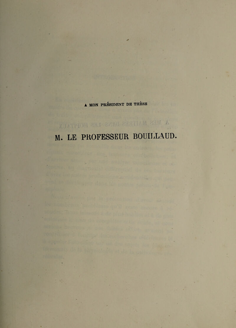 A MON PRÉSIDENT DE THÈSE M. LE PROFESSEUR BOUILL.\UD.