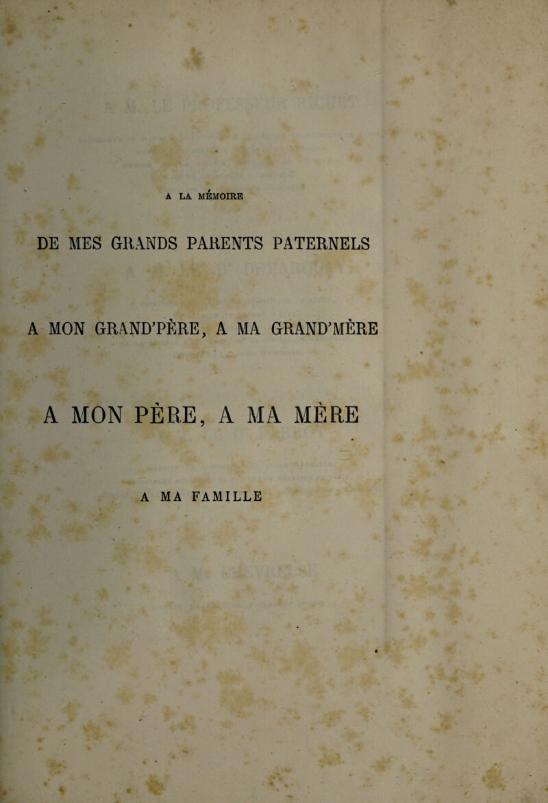 A LA MÉMOIRE DE MES GRANDS PARENTS PATERNELS A MON GRAND’PÈRE, A MA GRAND’MÈRE A MON PÈRE, A MA MÈRE A MA FAMILLE