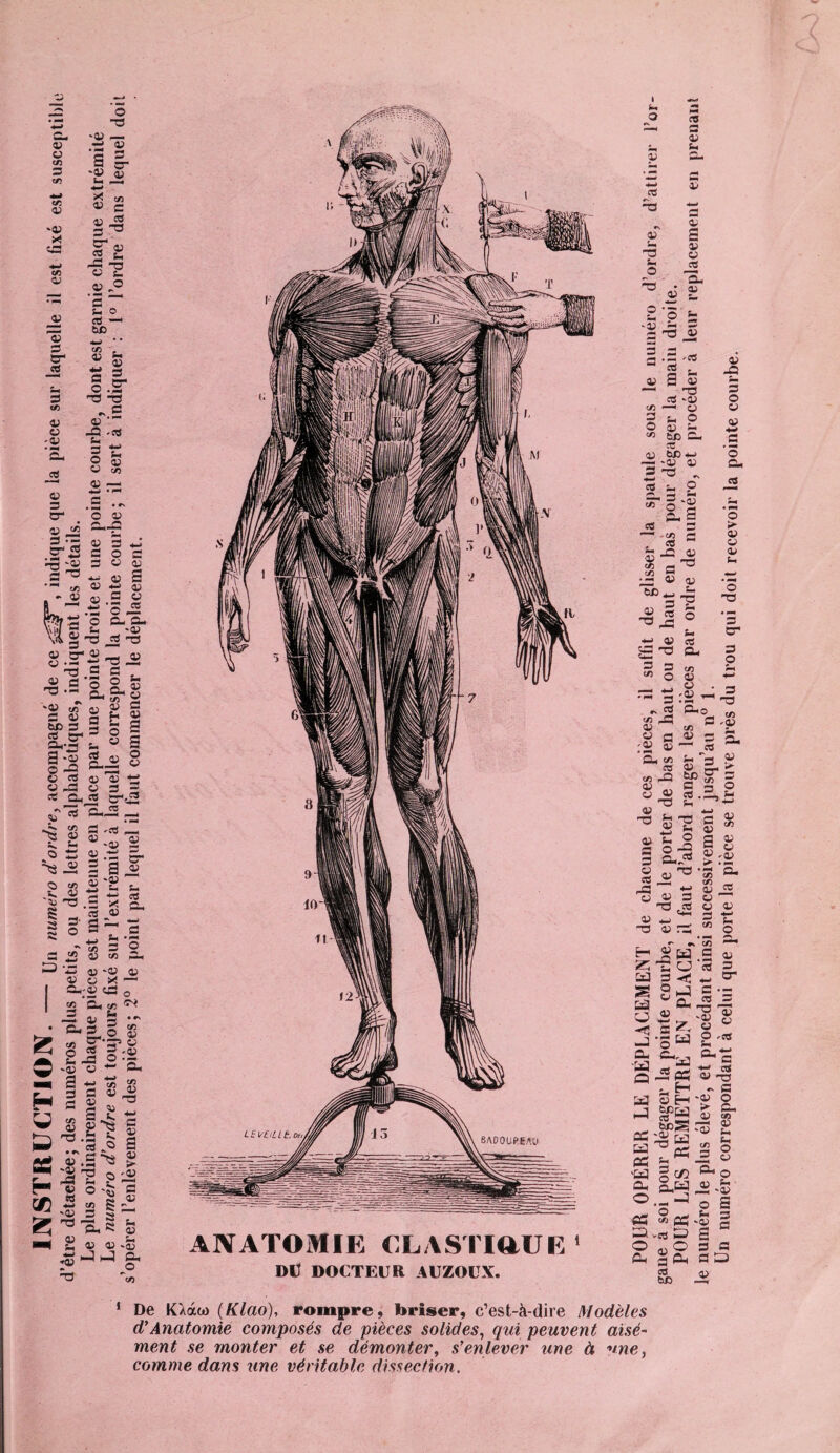 Cl. v 43 en 3 e/3 « 43 '03 * «3 03 — S 3 CT rt 3 C/5 03 03 '03 O T3 '03 — B 03 a g. u« JS *<—* s s £-3 £*43 2 s- 03 c .43 .O '5 ~' o- o ce —' te 3 l « §5 G S. O .£T t3 -3 ~ G 03 ‘ -G -ce 3 t: S ! 03 — 03 3 3- 45 c/3 3 «f O 03 CL.CC 3 *J O 3 03 03 S 03 03 ce 03 • 03 45 G rfy g ’o C-E- $ | £ * ' « 03 B- 03 45 O .3 ^ -3 B .£ G , 03 03Co- 'd- S. &'ô 03 _ G fc fl O 03 O 03 '03 c/3 45 G 03 S te 3 S g B- 3 Gh*b t. S -03 g« O -G G-— 03 ce 45 45 B 03 ^3 03 3 fl et ChJS B-cS jjJ-'rt G—2 ô; «3 G -rt _H « J) 0) « N <- -0) S o î: os .-b g- Ss _ï 2 S g ? « 5 ‘2 ~ -0. 03 B B c< 03 B3 .3 X O S; ctf 03 3 o 3“ c » % 3 O 3 * 0) » G ’.S 45 -03 43 G 03 * —■ Ç/3 Ch c/3 0-^ 3 Ch —. 03 3 •»' • Ch B G “3 l.-_ P© 03 c/3 B ■h’ G ^ O 5 o '03 O Ch -G ° •■=* '43 03 Ch G 43 03 5 g * g« b *» 3 .«> «3 45 03 G3 G 03 S 03 sf*aï's gÆ r* « o -s g «! s §£ £ ■=■8.3 S ■N £ ÿ Ol'î ;Ô3 J ^ o ANATOMIE ELASTIQUE 1 DU DOCTEUR AUZOCX. ‘ De K/àoo (Klao), rompre, briser, c’est-à-dire Modèles d’Anatomie composés de pièces solides, qui peuvent aisé¬ ment se monter et se démonter, s’enlever une à une, comme dans une véritable dissection. POUR OPERER LE DEPLACEMENT de chacune de ces pièces, il suffit de glisser la spatule sous le numéro d’ordre, d’attirer l’or- ^n^TTT»01! P0,*11*6 courbe, et de le porter de bas en haut ou de haut en bas pour dégager la main droite. POUR LES REMETTRE EN PLACE, il faut d’abord ranger les pièces par ordre de numéro, et procéder à leur replacement en prenant le numéro le plus eleve, et procédant ainsi successivement jusqu’au u° 1. Un numéro correspondant à celui que porte la pièce se trouve près du trou qui doit recevoir la pointe courbe.