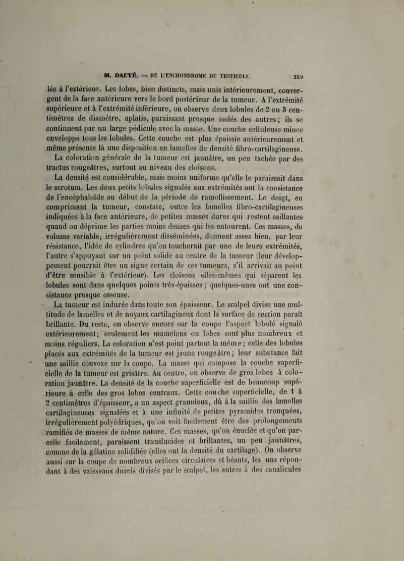 lée à l’extérieur. Les lobes, bien distincts, mais unis intérieurement, conver¬ gent de la face antérieure vers le bord postérieur de la tumeur. A l’extrémité supérieure et à l’extrémité inférieure, on observe deux lobules de 2 ou 3 cen¬ timètres de diamètre, aplatis, paraissant presque isolés des autres; ils se continuent par un large pédicule avec la masse. Une couche celluleuse mince enveloppe tous les lobules. Cette couche est plus épaissie antérieurement et même présente là une disposition en lamelles de densité fibro-cartilagineuse. La coloration générale de la tumeur est jaunâtre, un peu tachée par des tractus rougeâtres, surtout au niveau des cloisons. La densité est considérable, mais moins uniforme qu’elle le paraissait dans le scrotum. Les deux petits lobules signalés aux extrémités ont la consistance de l’encéphaloïde au début de la période de ramollissement. Le doigt, en comprimant la tumeur, constate, outre les lamelles fîbro-cartilagineuses indiquées à la face antérieure, de petites masses dures qui restent saillantes quand on déprime les parties moins denses qui les entourent. Ces masses, de volume variable, irrégulièrement disséminées, donnent assez bien, par leur résistance, l’idée de cylindres qu’on toucherait par une de leurs extrémités, l’autre s’appuyant sur un point solide au centre de la tumeur (leur dévelop¬ pement pourrait être un signe certain de ces tumeurs, s’il arrivait au point d’être sensible à l’extérieur). Les cloisons elles-mêmes qui séparent les lobules sont dans quelques points très-épaisses ; quelques-unes ont une con¬ sistance presque osseuse. La tumeur est indurée dans toute son épaisseur. Le scalpel divise une mul¬ titude de lamelles et de noyaux cartilagineux dont la surface de section paraît brillante. Du reste, on observe encore sur la coupe l’aspect lobulé signalé extérieurement; seulement les mamelons ou lobes sont plus nombreux et moins réguliers. La coloration n’est point partout la même ; celle des lobules placés aux extrémités de la tumeur est jaune rougeâtre; leur substance fait une saillie convexe sur la coupe. La masse qui compose la couche superfi¬ cielle de la tumeur est grisâtre. Au centre, on observe de gros lobes à colo¬ ration jaunâtre. La densité de la couche superficielle est de beaucoup supé¬ rieure à celle des gros lobes centraux. Cette couche superficielle, de 1 à 2 centimètres d’épaisseur, a un aspect granuleux, dû à la saillie des lamelles cartilagineuses signalées et à une infinité de petites pyramides tronquées, irrégulièrement polyédriques, qu’on voit facilement être des prolongements ramifiés de masses de même nature. Ces masses, qu’on énuclée et qu’on par¬ celle facilement, paraissent translucides et brillantes, un peu jaunâtres, comme delà gélatine solidifiée (elles ont la densité du cartilage). On observe aussi sur la coupe de nombreux orifices circulaires et béants, les uns répon¬ dant à des vaisseaux durcis divisés par le scalpel, les autres a des canalicules