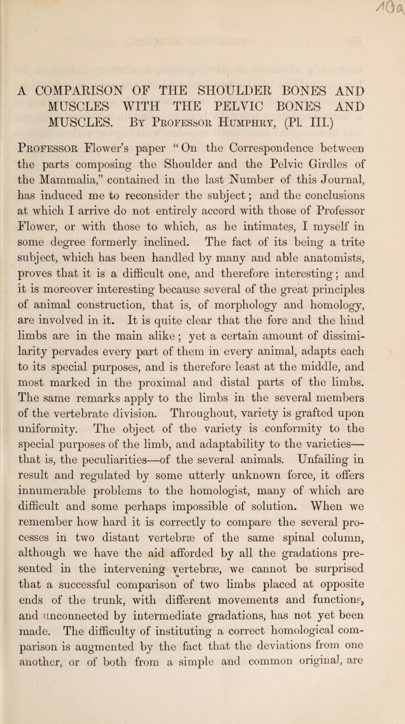 A COMPARISON OF THE SHOULDER BONES AND MUSCLES WITH THE PELVIC BONES AND MUSCLES. By Professor Humphry, (PL III.) Professor Flower’s paper “ On the Correspondence between the parts composing the Shoulder and the Pelvic Girdles of the Mammalia,” contained in the last Number of this Journal, has induced me to reconsider the subject; and the conclusions at which I arrive do not entirely accord with those of Professor Flower, or with those to which, as he intimates, I myself in some degree formerly inclined. The fact of its being a trite subject, which has been handled by many and able anatomists, proves that it is a difficult one, and therefore interesting; and it is moreover interesting because several of the great principles of animal construction, that is, of morphology and homology, are involved in it. It is quite clear that the fore and the hind limbs are in the main alike; yet a certain amount of dissimi¬ larity pervades every part of them in every animal, adapts each to its special purposes, and is therefore least at the middle, and most marked in the proximal and distal parts of the limbs. The same remarks apply to the limbs in the several members of the vertebrate division. Throughout, variety is grafted upon uniformity. The object of the variety is conformity to the special purposes of the limb, and adaptability to the varieties— that is, the peculiarities—of the several animals. Unfailing in result and regulated by some utterly unknown force, it offers innumerable problems to the homologist, many of which are difficult and some perhaps impossible of solution. When we remember how hard it is correctly to compare the several pro¬ cesses in two distant vertebrae of the same spinal column, although we have the aid afforded by all the gradations pre¬ sented in the intervening vertebrae, we cannot be surprised that a successful comparison of two limbs placed at opposite ends of the trunk, with different movements and functions, and unconnected by intermediate gradations, has not yet been made. The difficulty of instituting a correct homological com¬ parison is augmented by the fact that the deviations from one another, or of both from a simple and common original, are